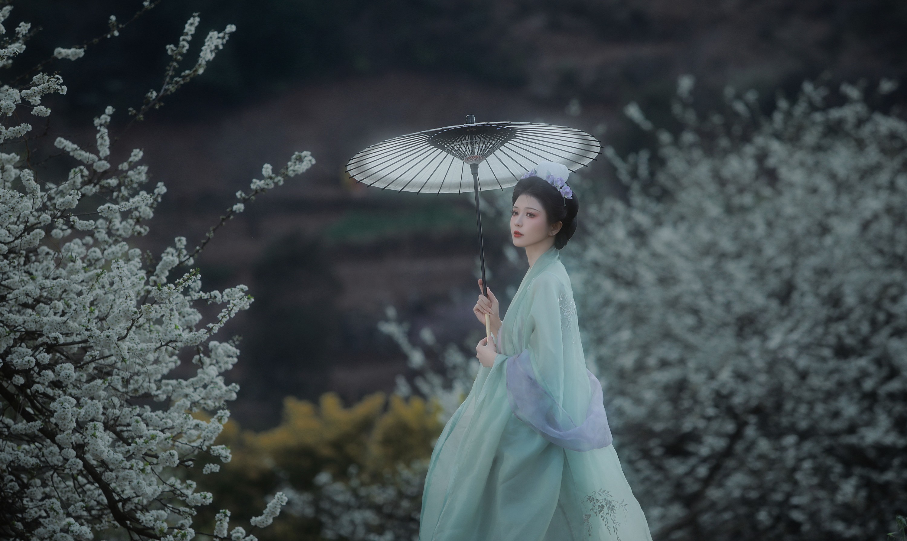 图片[7] - 吾岁岁 - 《春山如黛草如烟》[22P] - 机器猫次元 - 机器猫次元