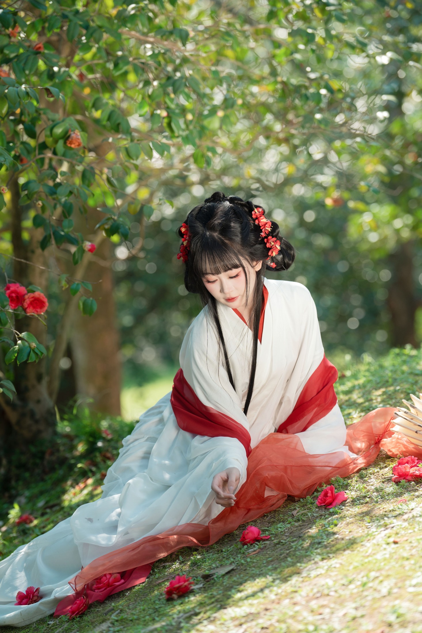 图片[6] - 湫一只岁岁 - 《邂逅山茶花》[27P] - 机器猫次元 - 机器猫次元