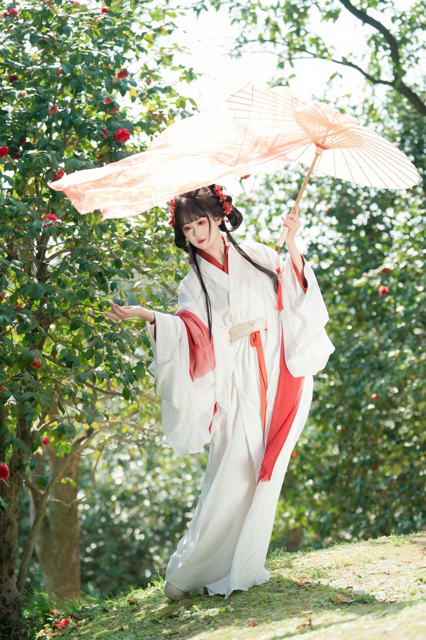 图片[3] - 湫一只岁岁 - 《邂逅山茶花》[27P] - 机器猫次元 - 机器猫次元