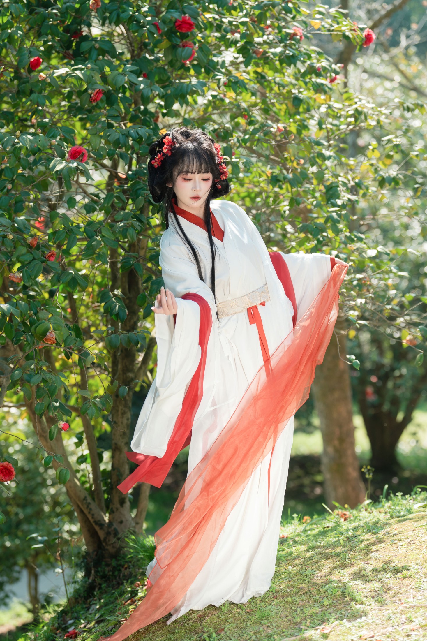 图片[1] - 湫一只岁岁 - 《邂逅山茶花》[27P] - 机器猫次元 - 机器猫次元