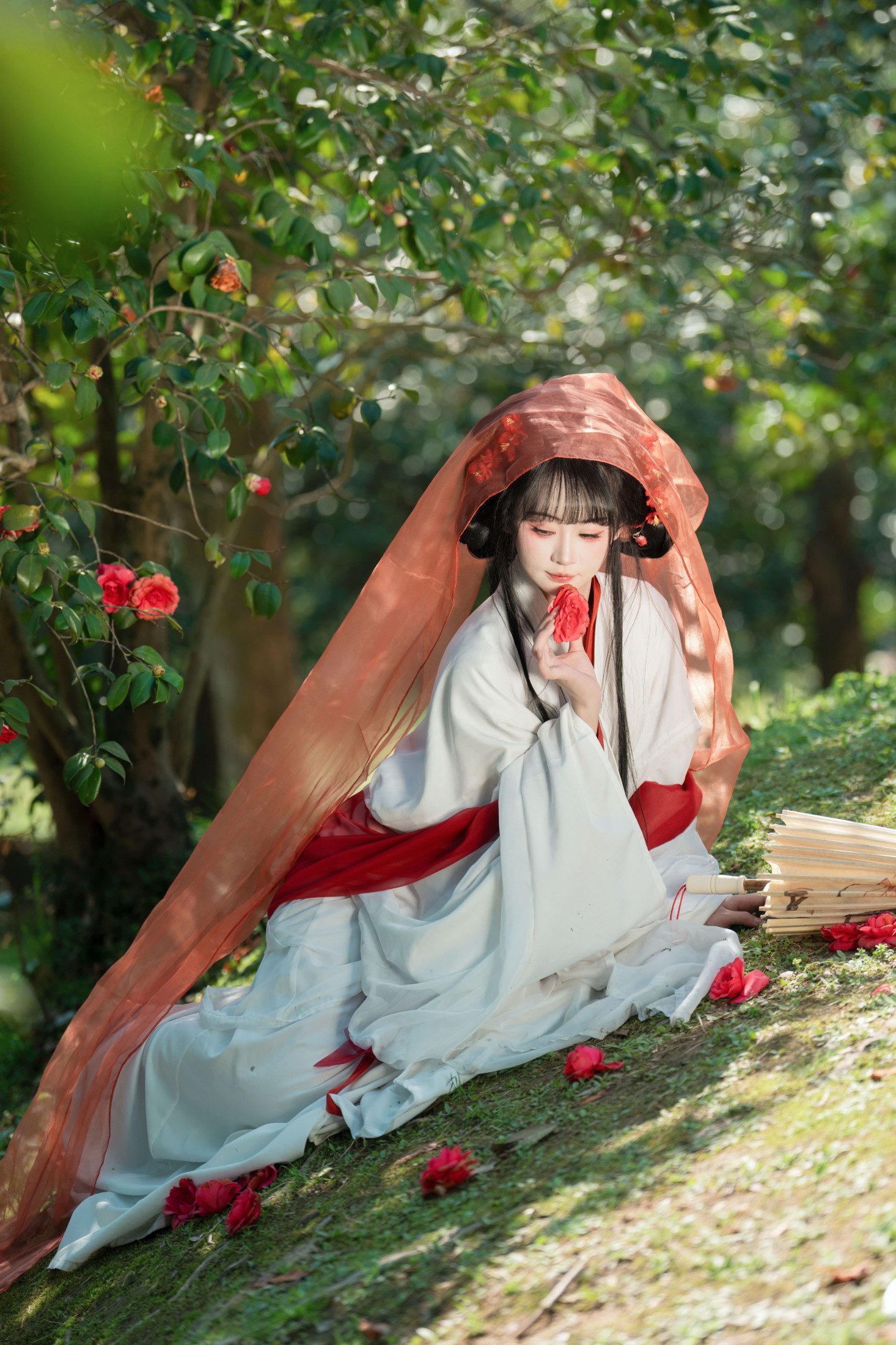 图片[7] - 湫一只岁岁 - 《邂逅山茶花》[27P] - 机器猫次元 - 机器猫次元