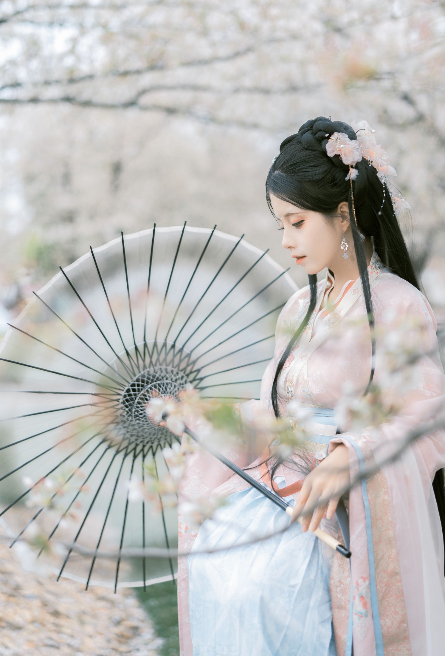 图片[7] - 顾言一 - 《樱花林 琵琶情》[32P] - 机器猫次元 - 机器猫次元