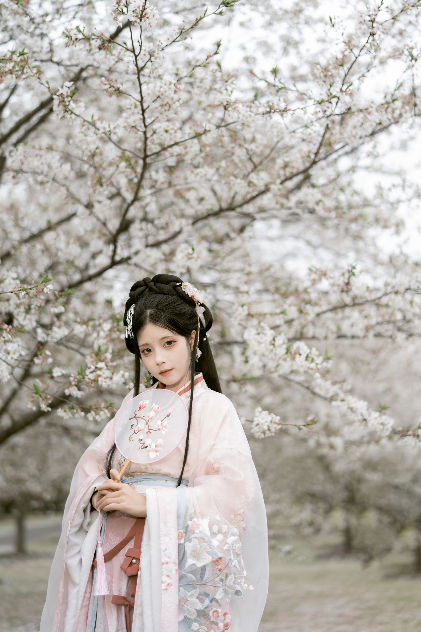 图片[8] - 顾言一 - 《樱花林 琵琶情》[32P] - 机器猫次元 - 机器猫次元