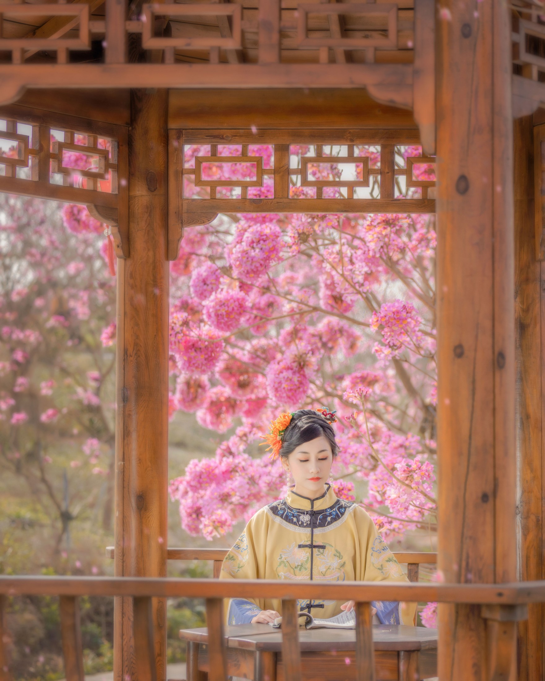 图片[3] - 糖糖 - 《风铃晚》[15P] - 机器猫次元 - 机器猫次元