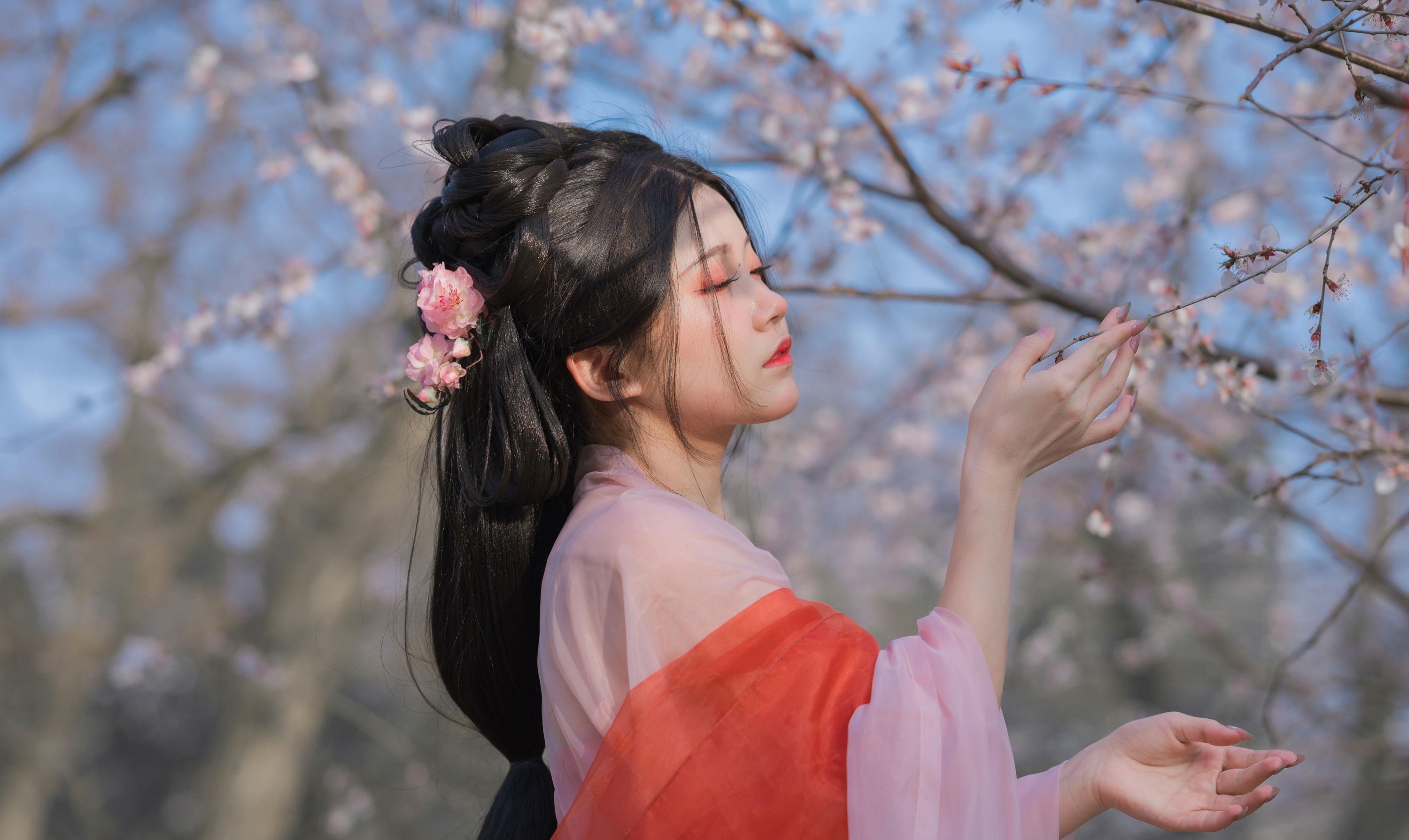 图片[2] - 桂圆八宝粥 - 《桃花夭夭》[15P] - 机器猫次元 - 机器猫次元