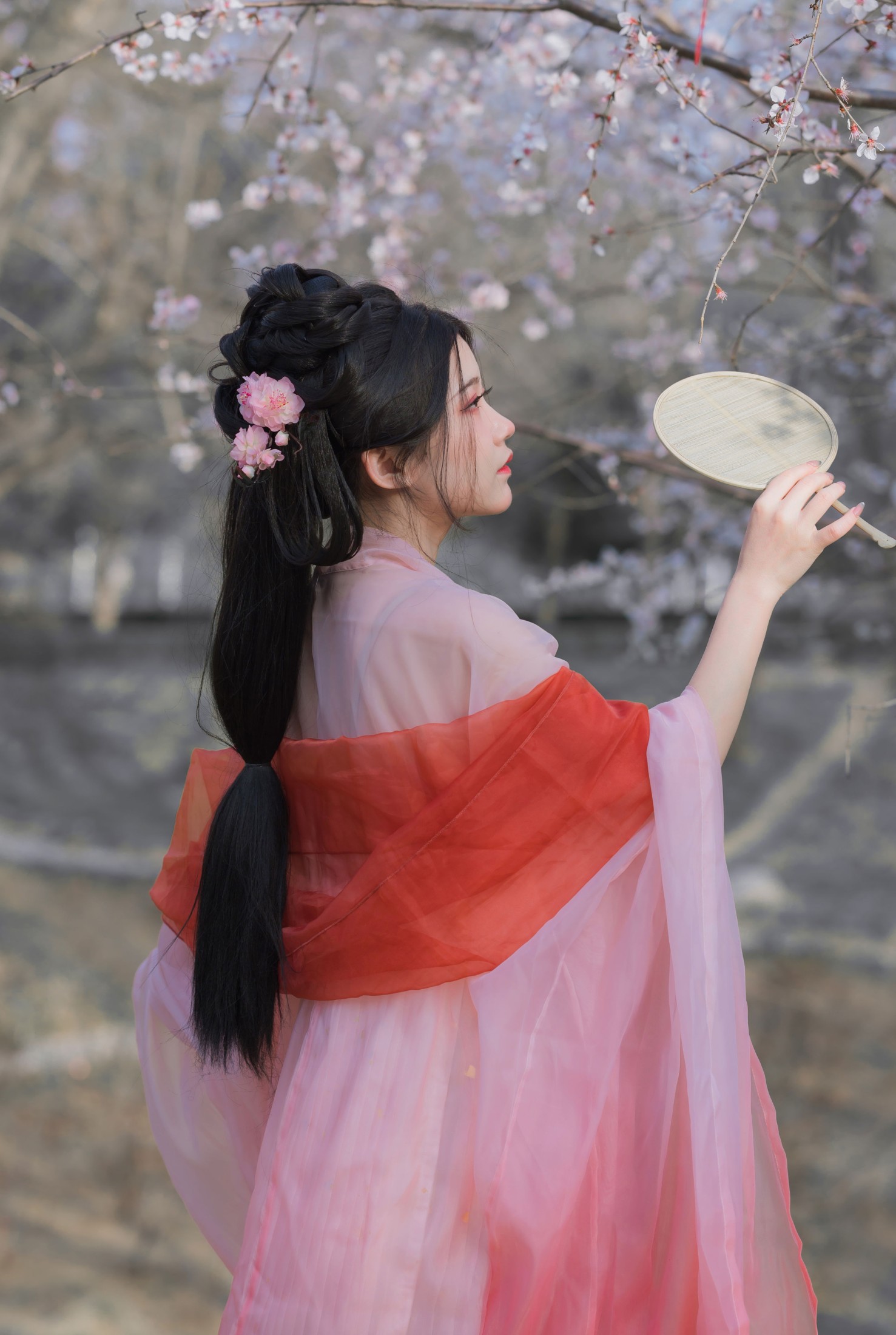 图片[5] - 桂圆八宝粥 - 《桃花夭夭》[15P] - 机器猫次元 - 机器猫次元