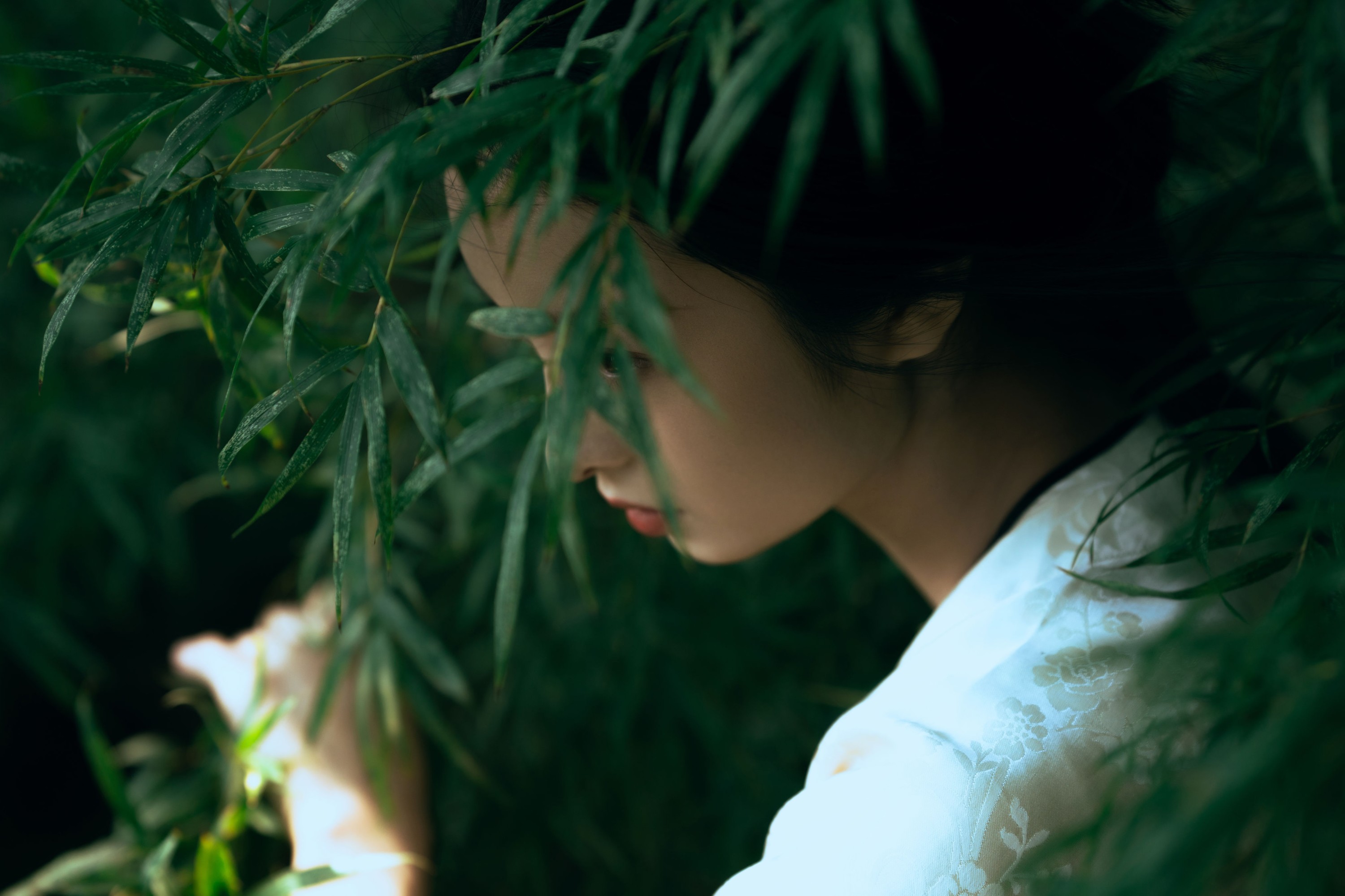 图片[1] - 李钰_ayu - 《卧虎藏龙》[17P] - 机器猫次元 - 机器猫次元