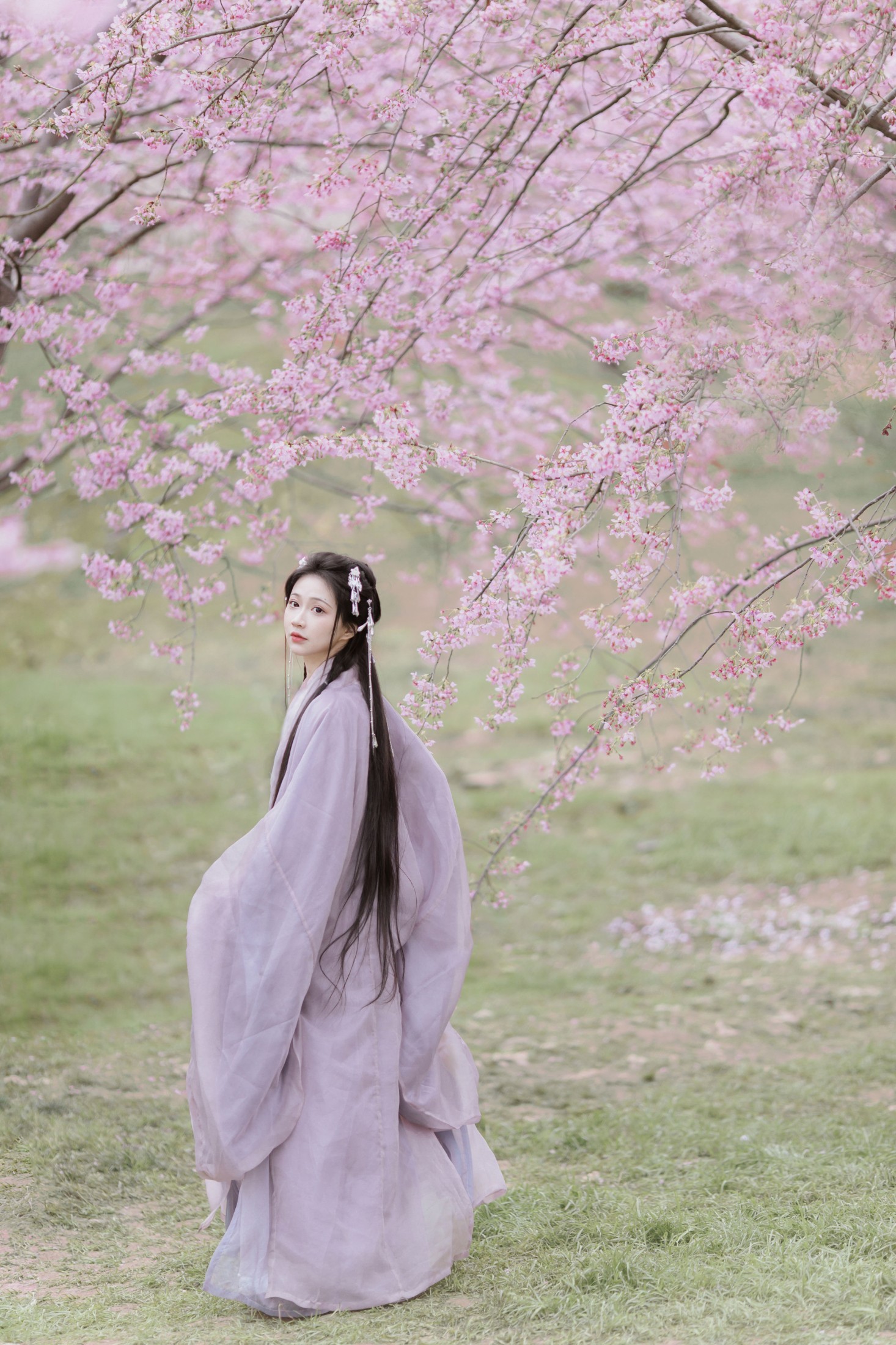 图片[6] - 绮罗生的小苏苏 - 《春风如画》[17P] - 机器猫次元 - 机器猫次元