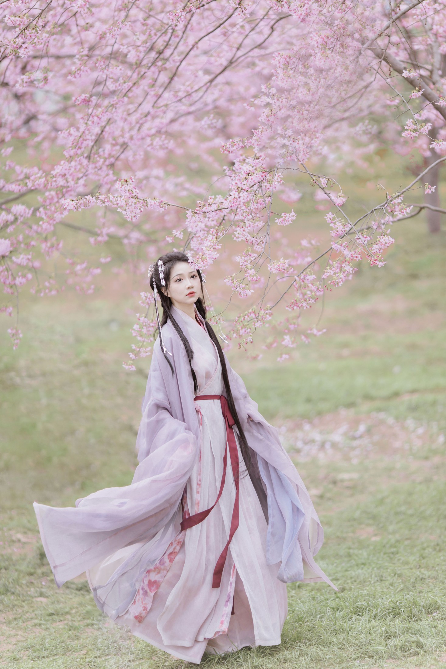 图片[8] - 绮罗生的小苏苏 - 《春风如画》[17P] - 机器猫次元 - 机器猫次元