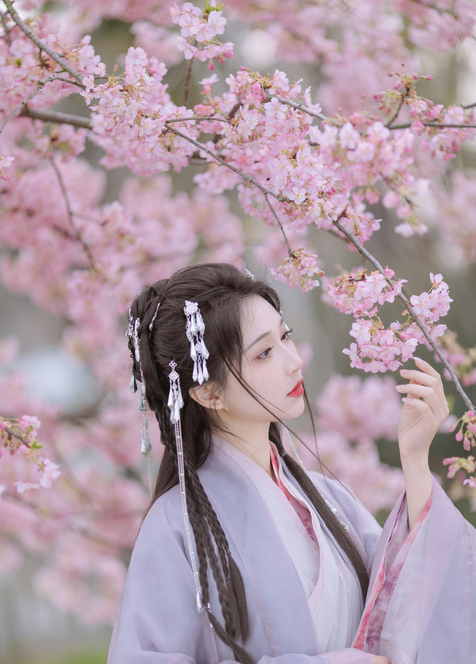 图片[2] - 绮罗生的小苏苏 - 《春风如画》[17P] - 机器猫次元 - 机器猫次元