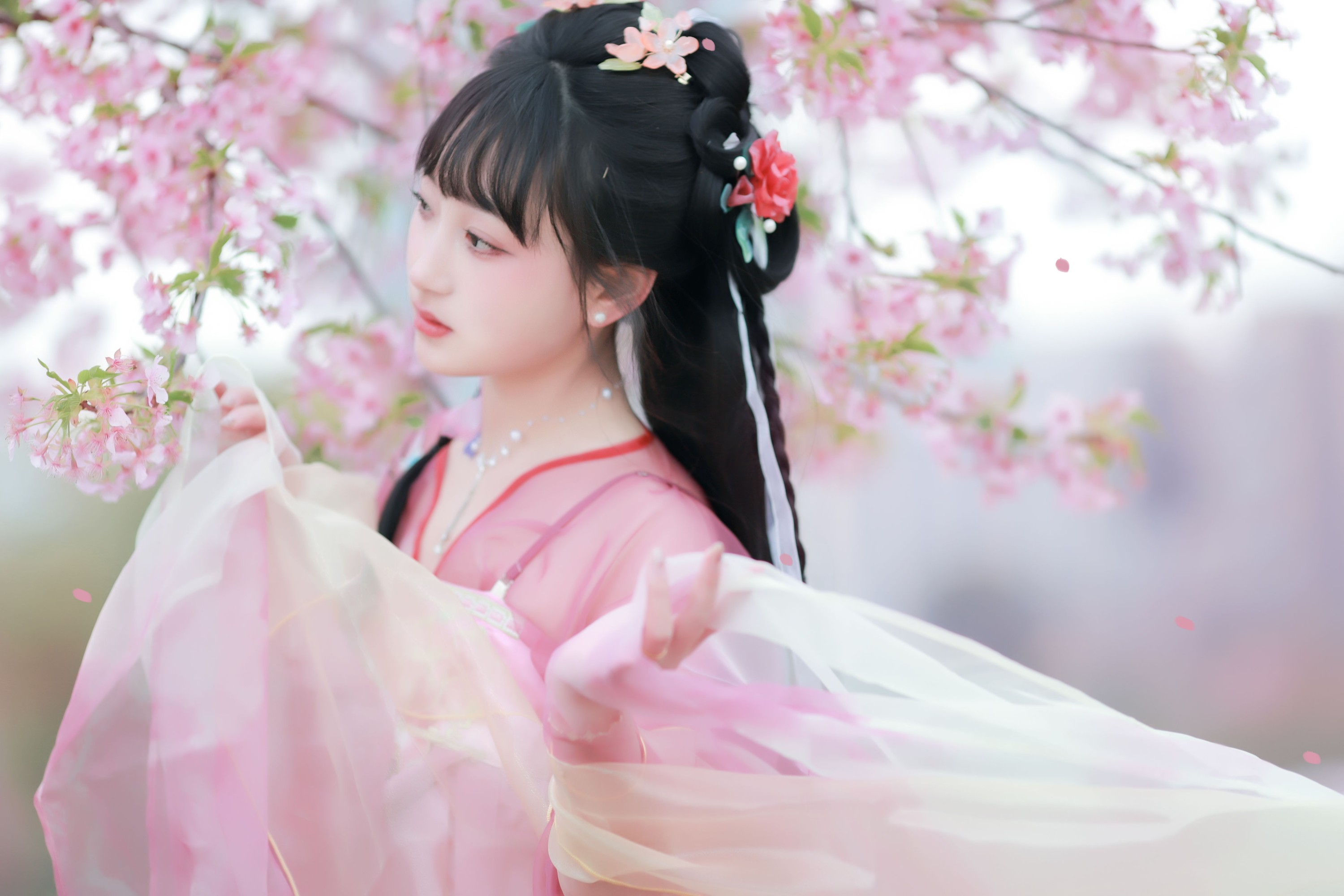 图片[5] - 小王碎彬彬 - 《落樱》[13P] - 机器猫次元 - 机器猫次元