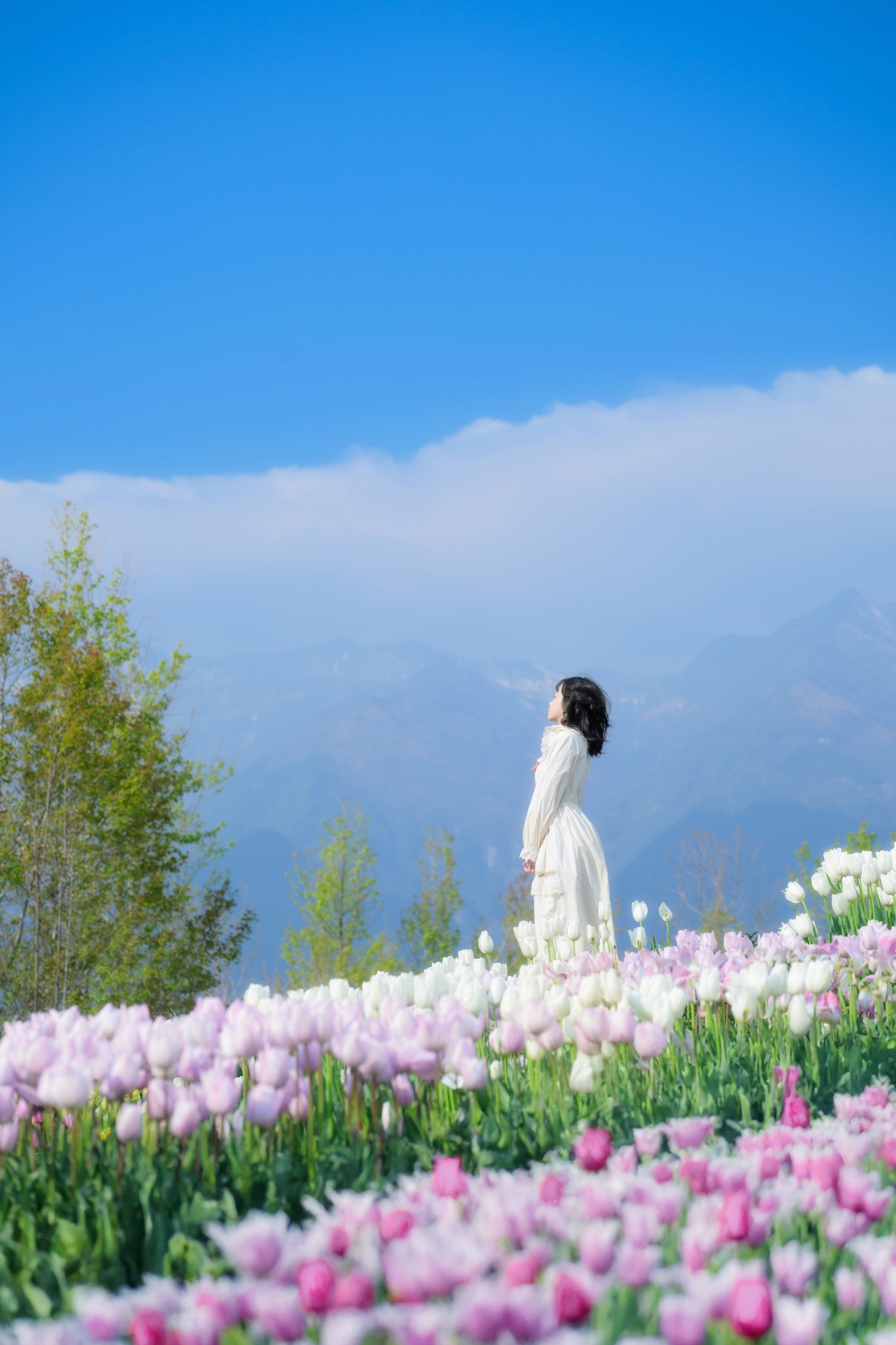 图片[3] - Disexi思宁 - 《鲜花人间》[20P] - 机器猫次元 - 机器猫次元