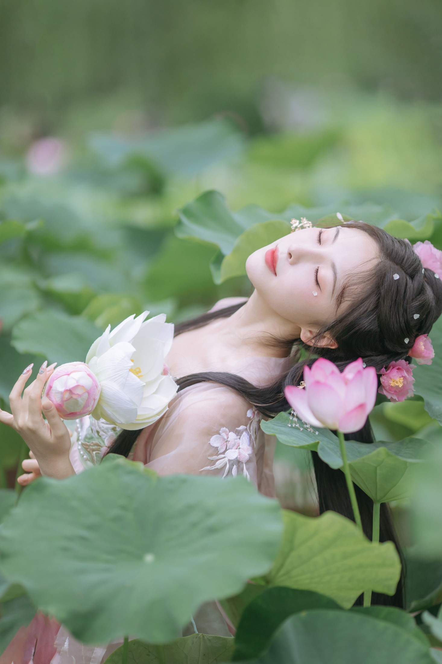 图片[5] - 一小枝枝枝枝 - 《荷香袅袅》[18P] - 机器猫次元 - 机器猫次元