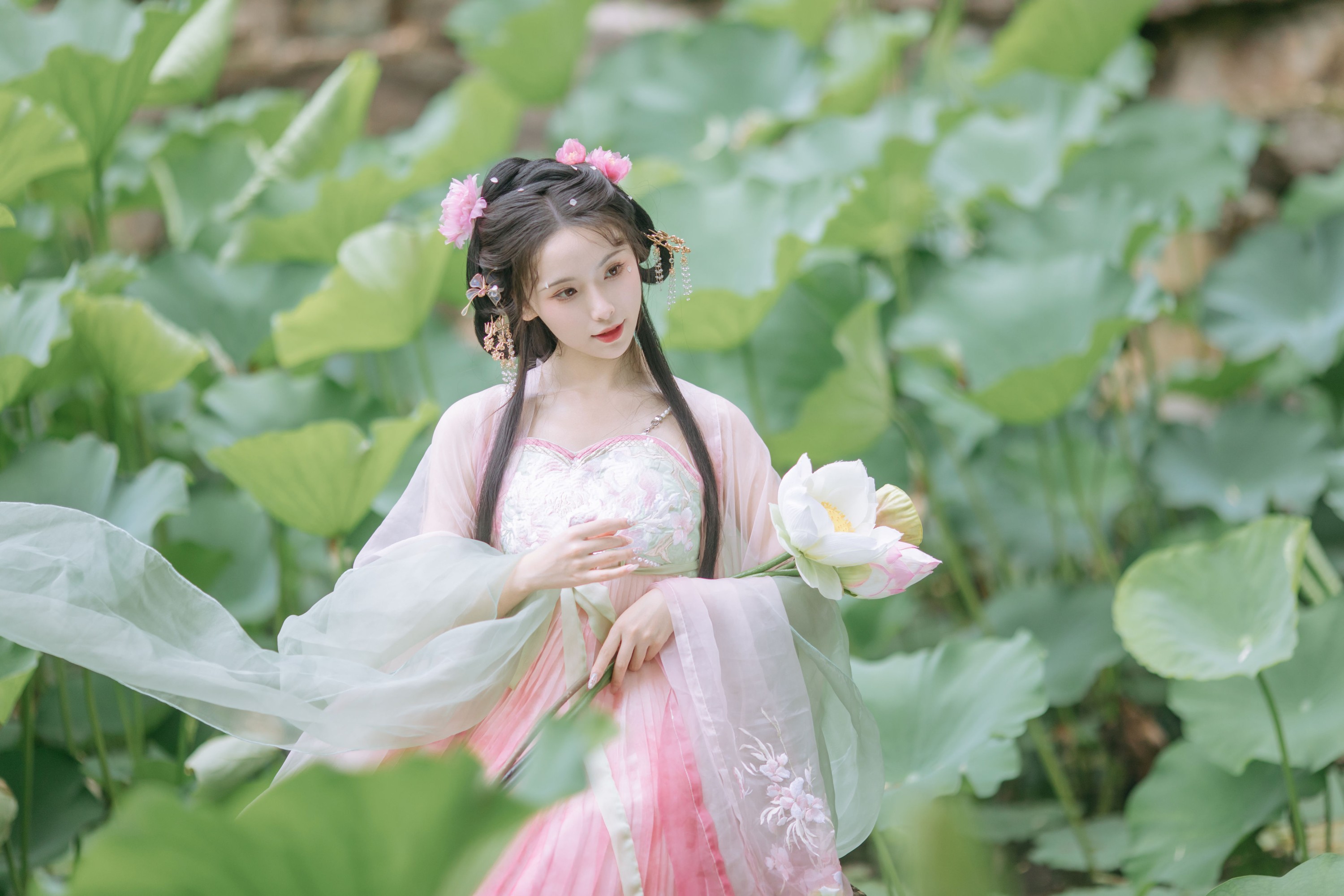 图片[1] - 一小枝枝枝枝 - 《荷香袅袅》[18P] - 机器猫次元 - 机器猫次元