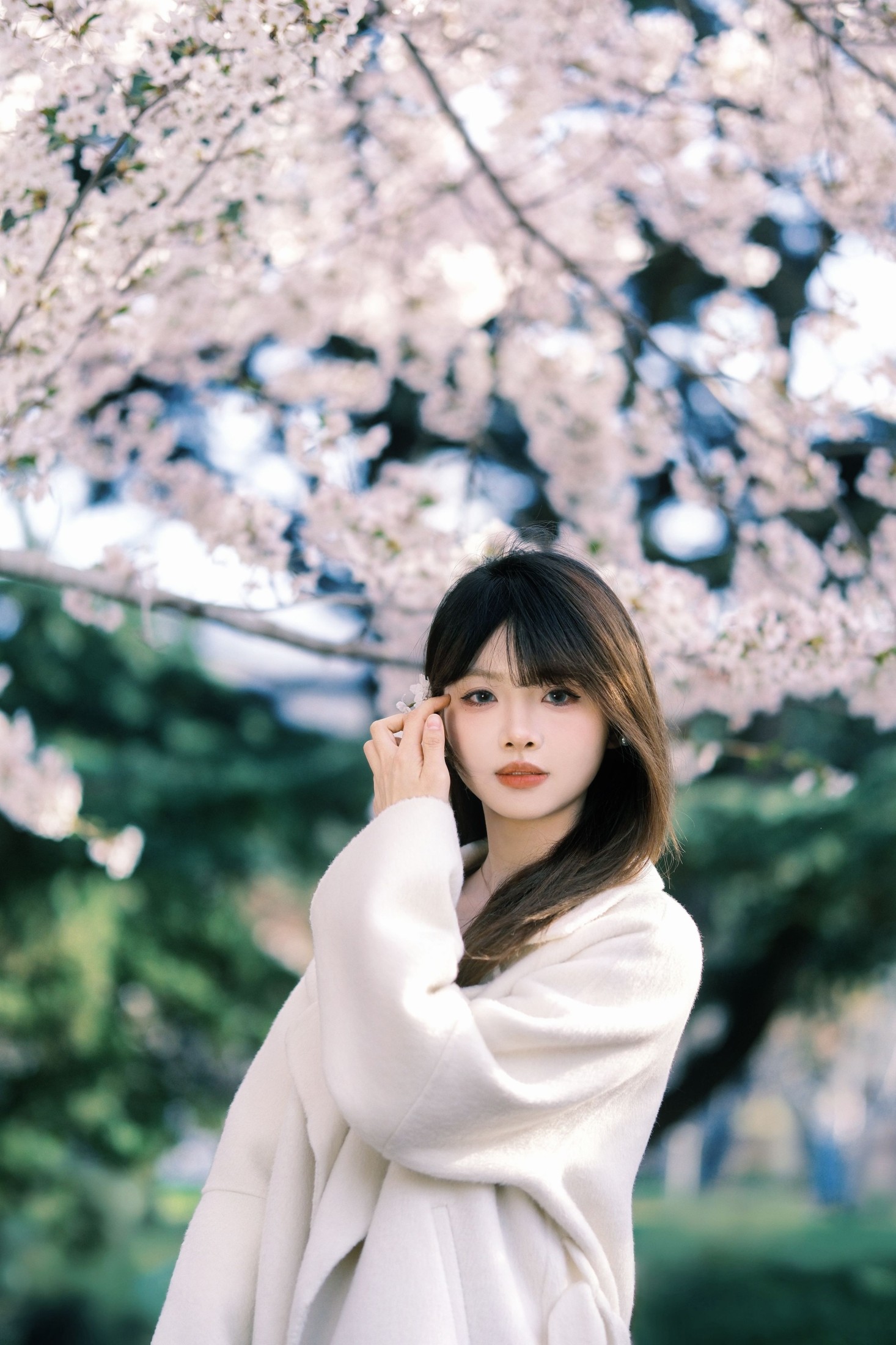 图片[3] - 瑶瑶 - 《春樱》[18P] - 机器猫次元 - 机器猫次元