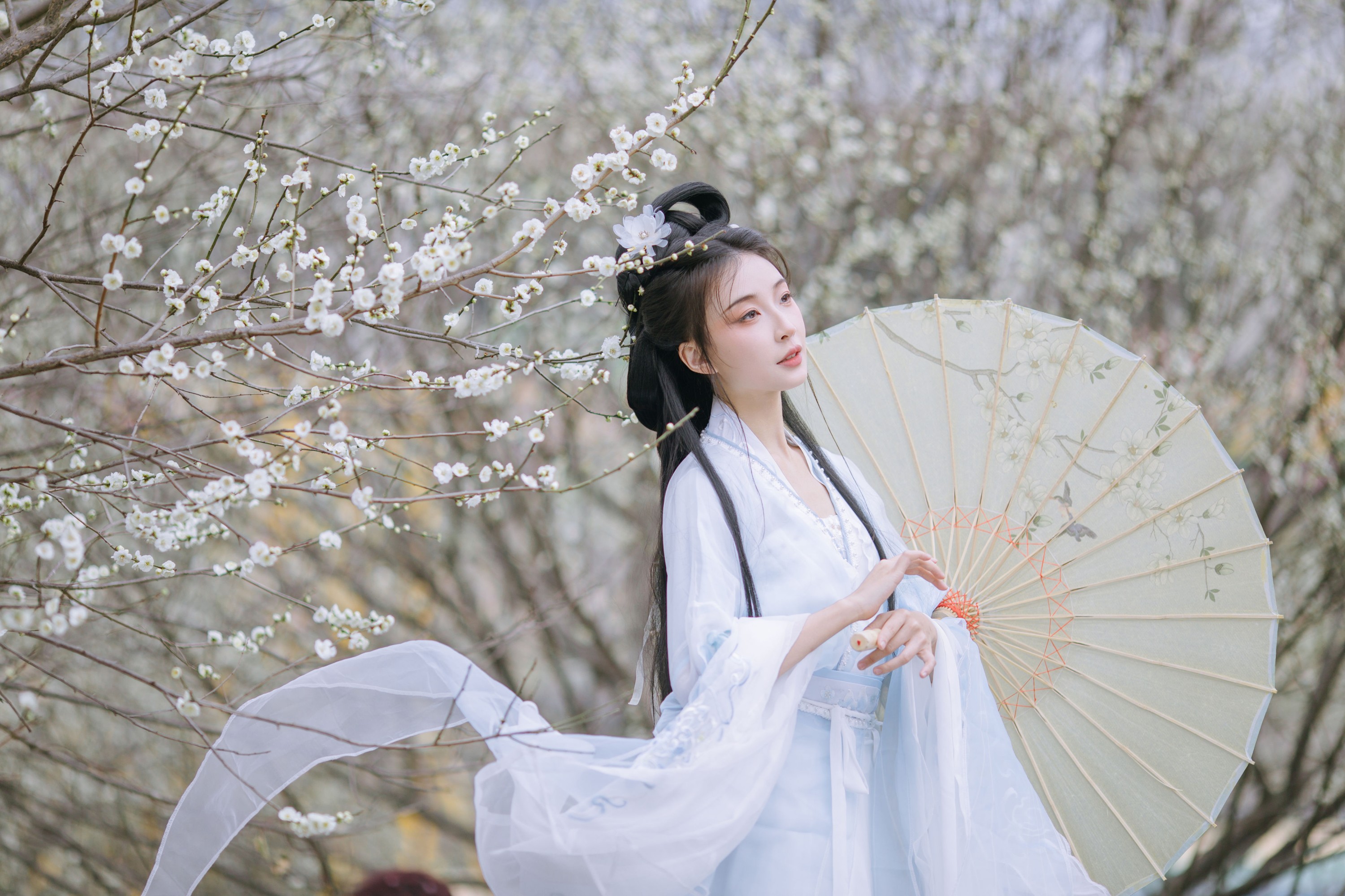 图片[3] - 无巧不成狐（兮雅） - 《暗香浮动》[18P] - 机器猫次元 - 机器猫次元