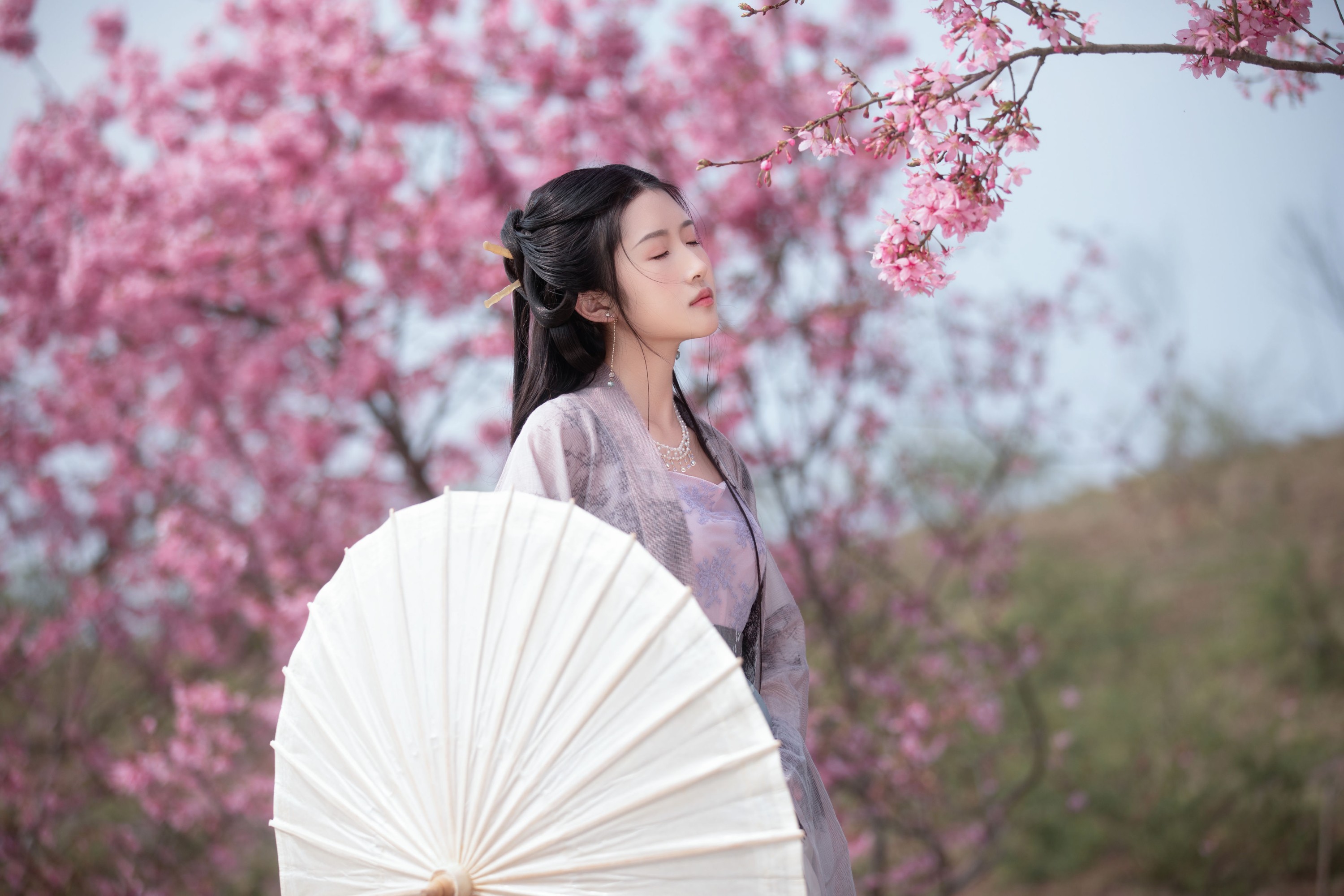 图片[1] - 秋雨 - 《春樱》[16P] - 机器猫次元 - 机器猫次元