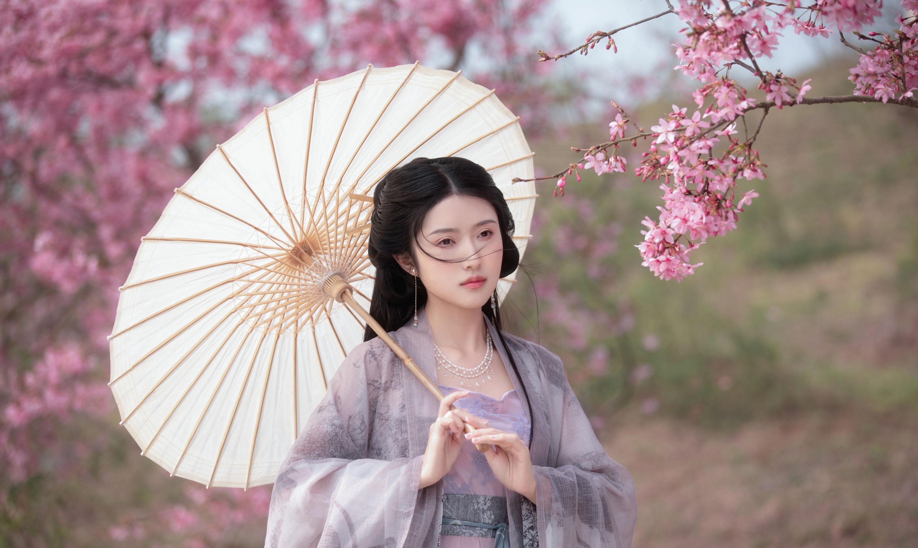 图片[2] - 秋雨 - 《春樱》[16P] - 机器猫次元 - 机器猫次元