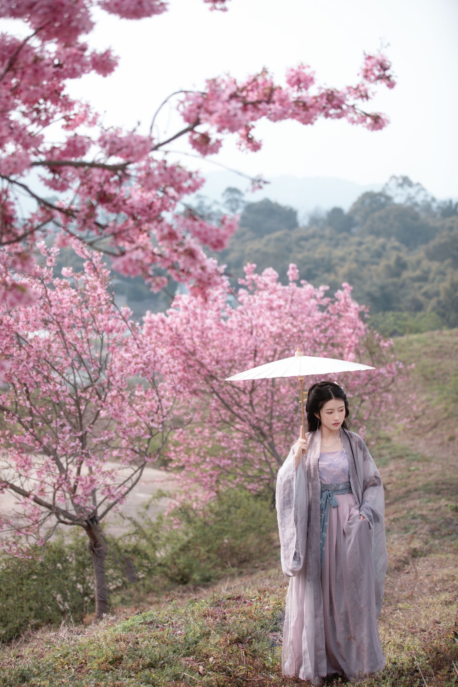 图片[6] - 秋雨 - 《春樱》[16P] - 机器猫次元 - 机器猫次元