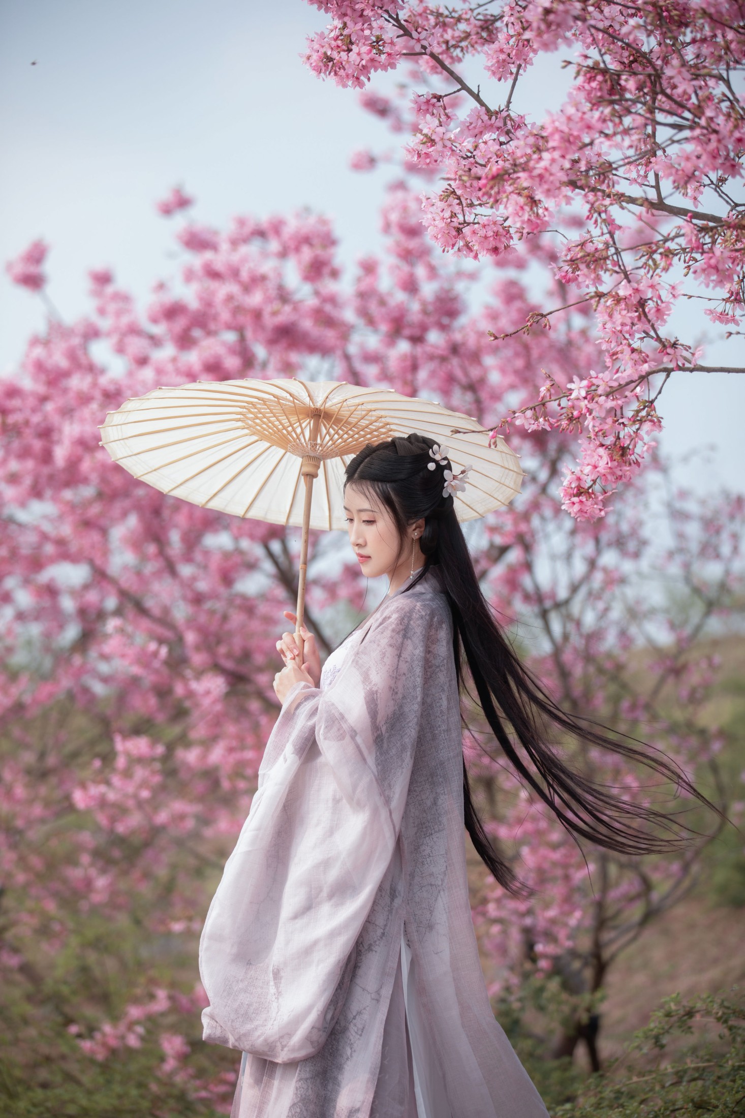 图片[4] - 秋雨 - 《春樱》[16P] - 机器猫次元 - 机器猫次元