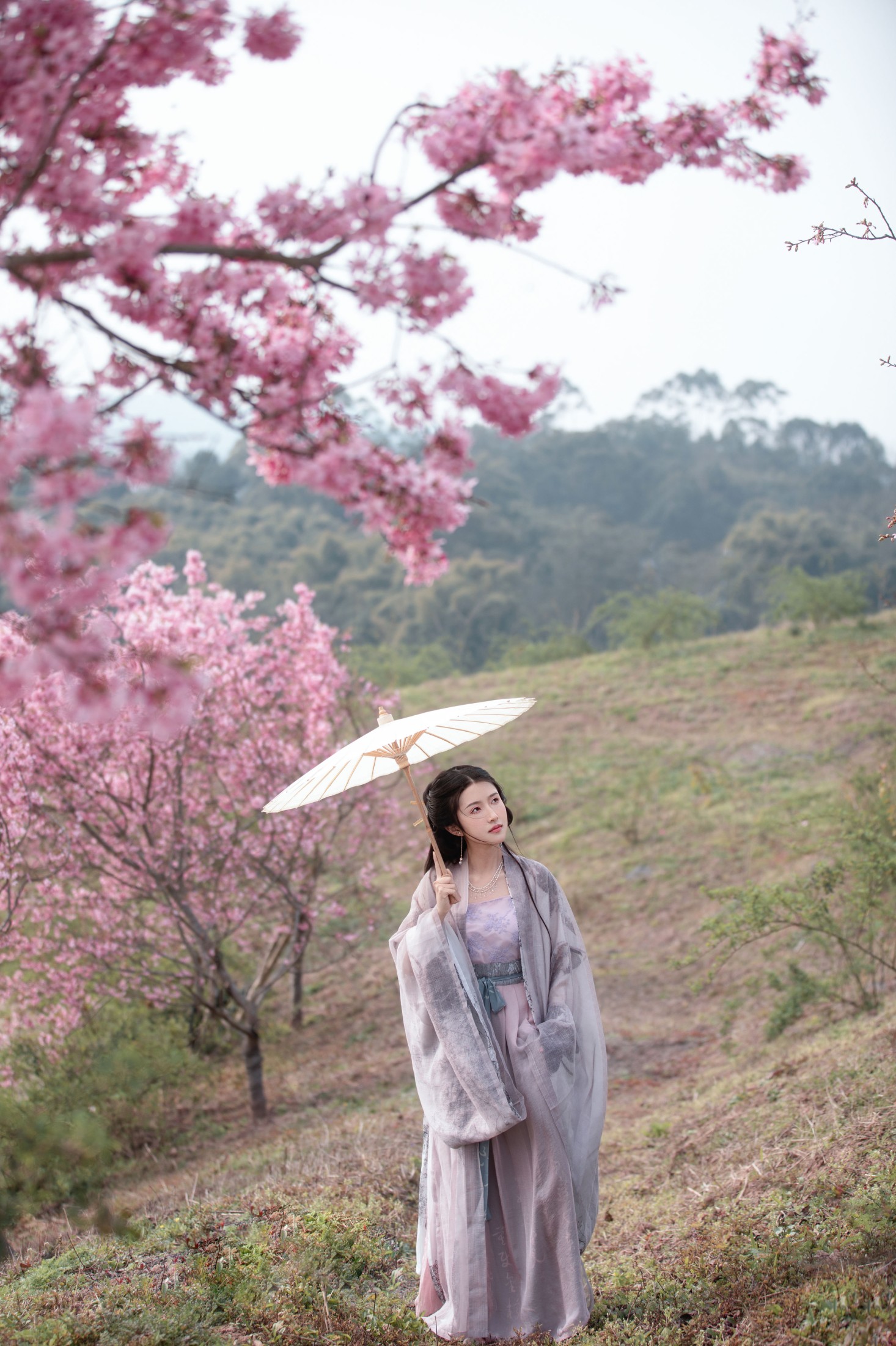图片[5] - 秋雨 - 《春樱》[16P] - 机器猫次元 - 机器猫次元