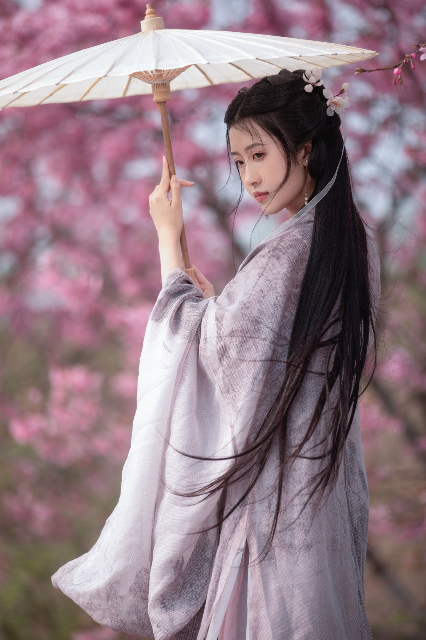 图片[3] - 秋雨 - 《春樱》[16P] - 机器猫次元 - 机器猫次元