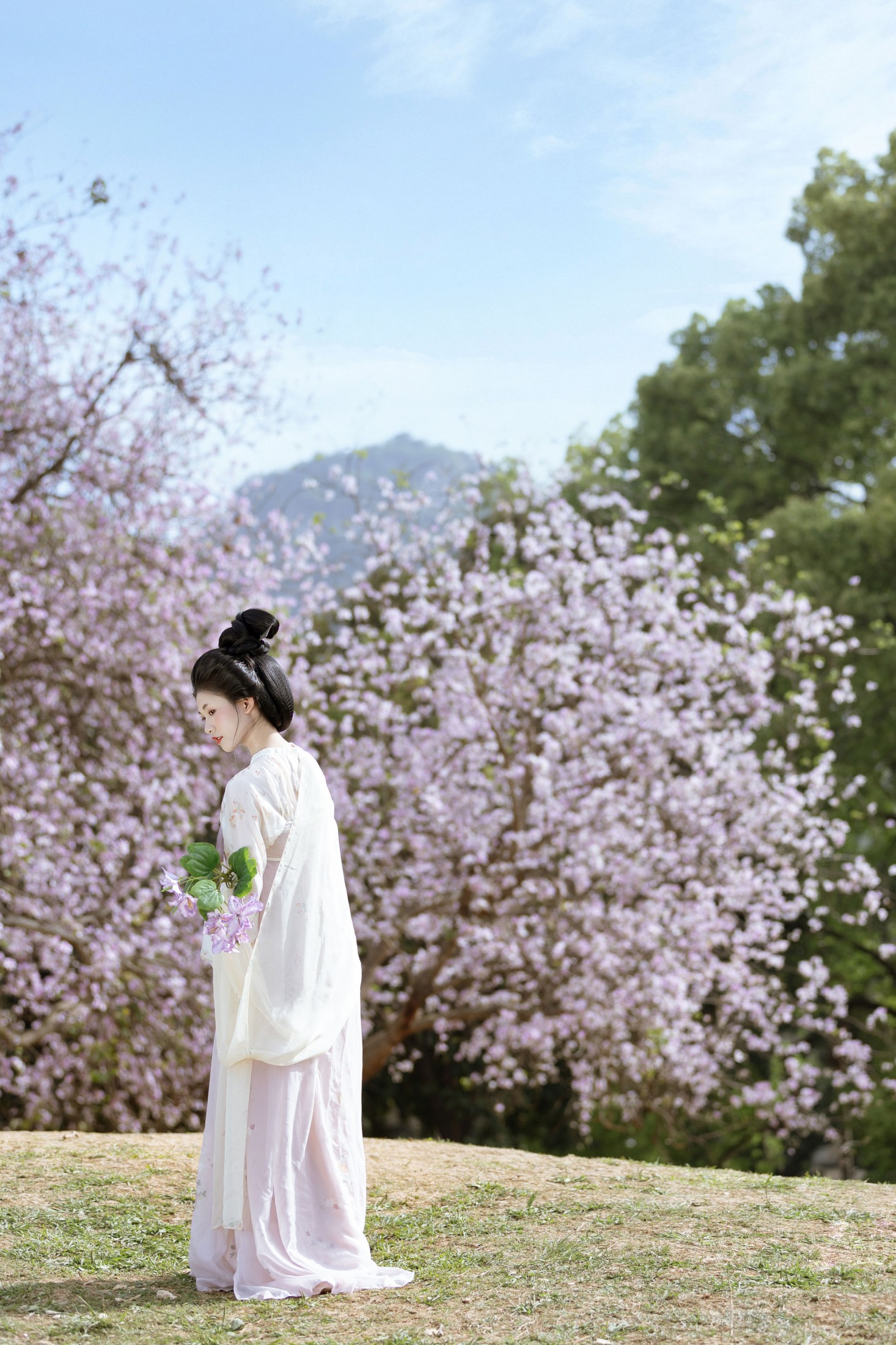 图片[4] - 小y今天也很开心 - 《咏紫荆》[19P] - 机器猫次元 - 机器猫次元