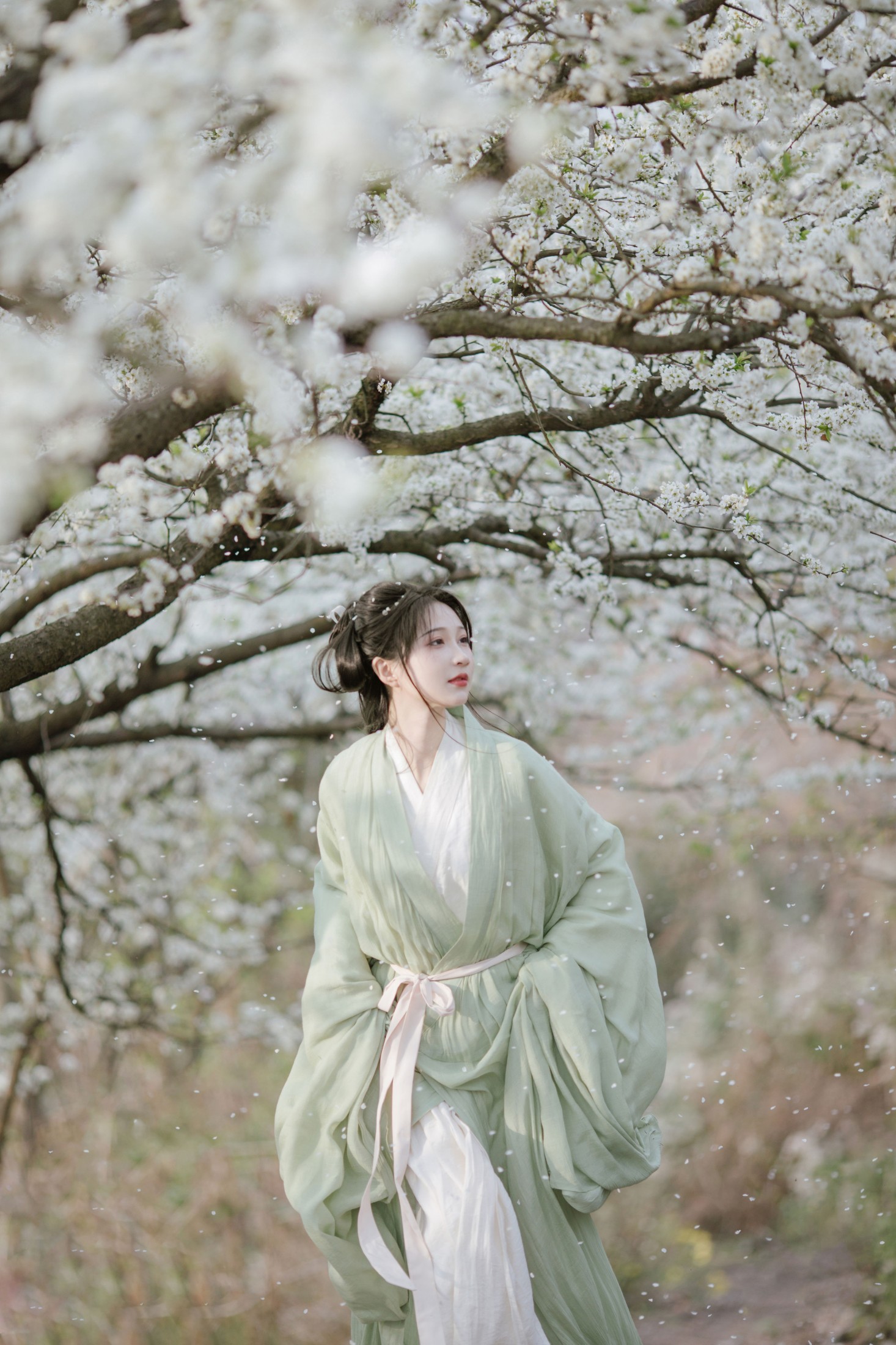 图片[7] - 绮罗生的小苏苏 - 《杏花吹满头》[18P] - 机器猫次元 - 机器猫次元