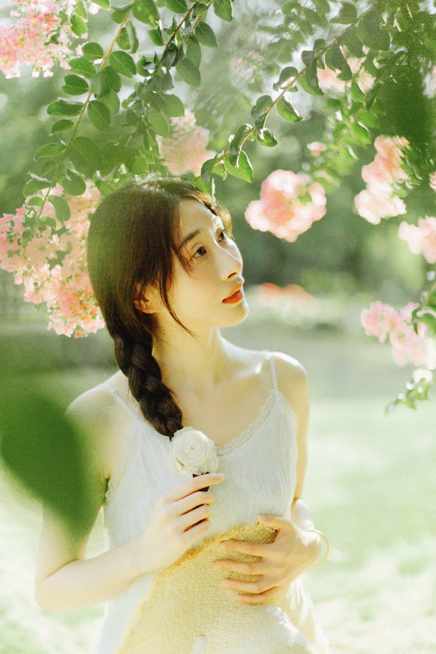 图片[5] - 十二* - 《紫藤花开》[48P] - 机器猫次元 - 机器猫次元