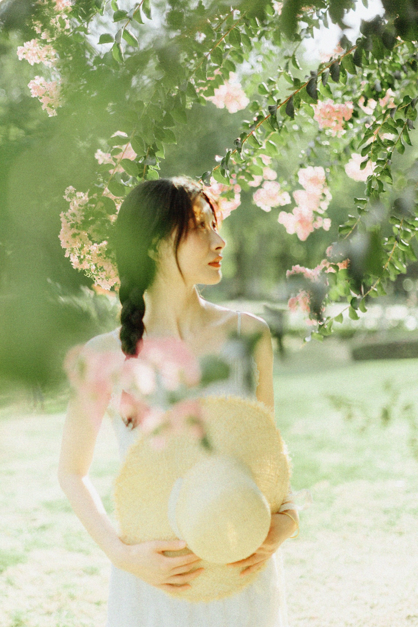 图片[3] - 十二* - 《紫藤花开》[48P] - 机器猫次元 - 机器猫次元