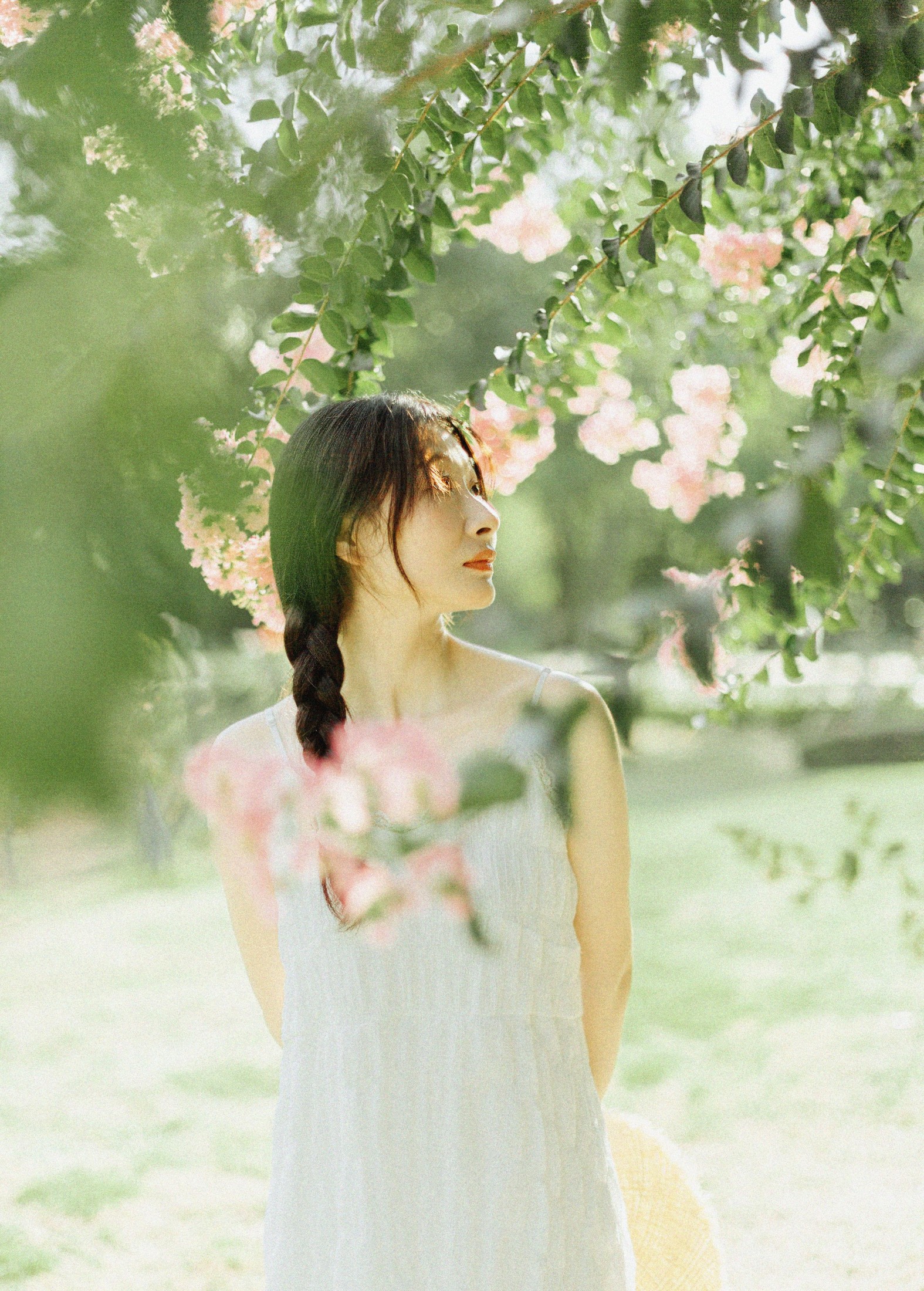 图片[2] - 十二* - 《紫藤花开》[48P] - 机器猫次元 - 机器猫次元