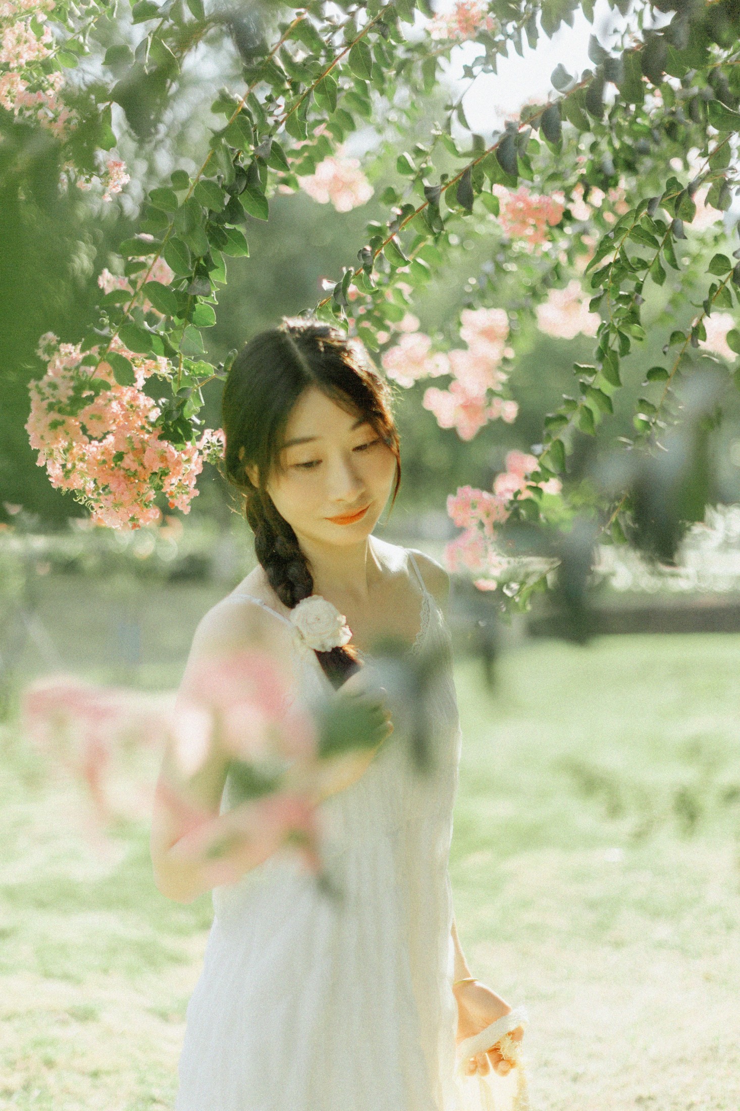 图片[4] - 十二* - 《紫藤花开》[48P] - 机器猫次元 - 机器猫次元