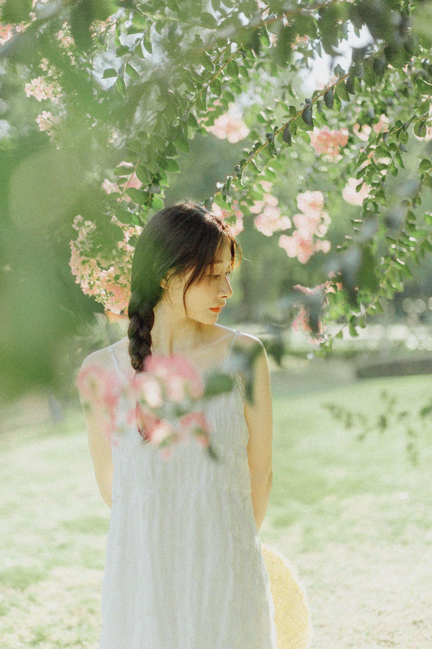 图片[1] - 十二* - 《紫藤花开》[48P] - 机器猫次元 - 机器猫次元