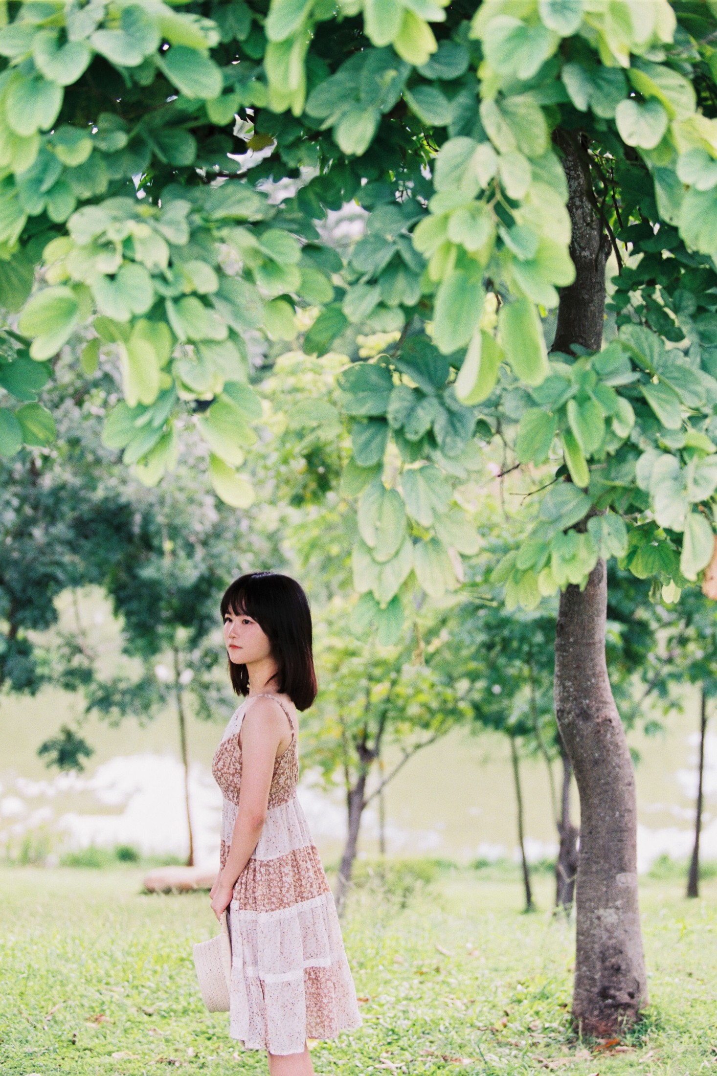 图片[1] - 四月岛雯 - 《夏天的草地》[30P] - 机器猫次元 - 机器猫次元