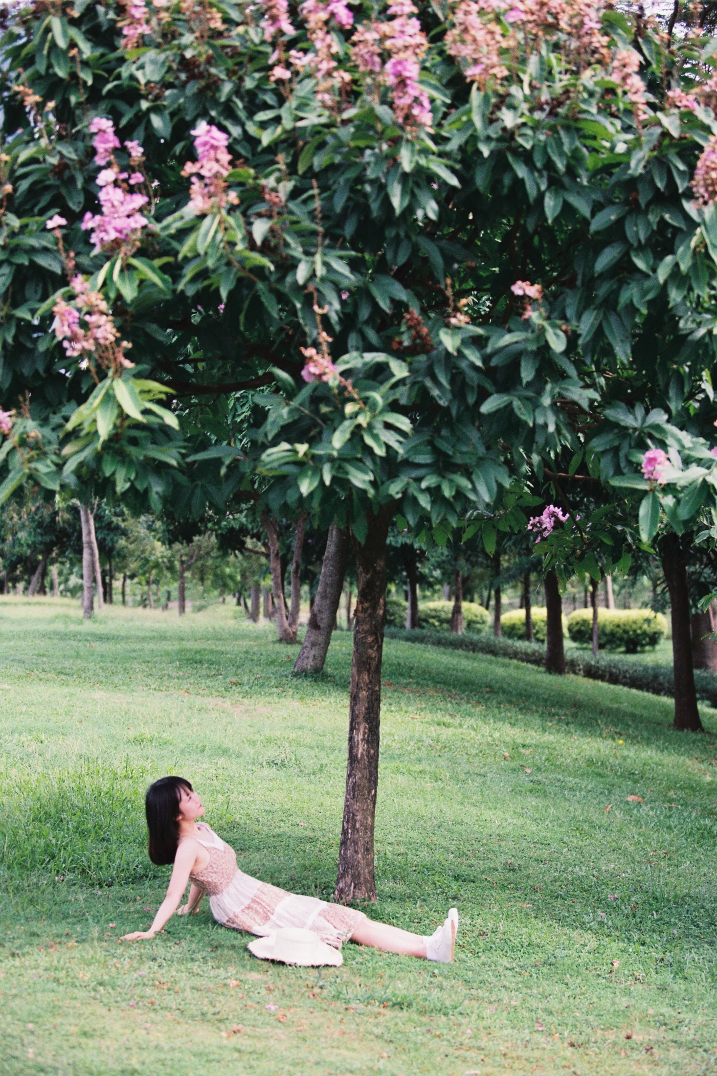 图片[3] - 四月岛雯 - 《夏天的草地》[30P] - 机器猫次元 - 机器猫次元