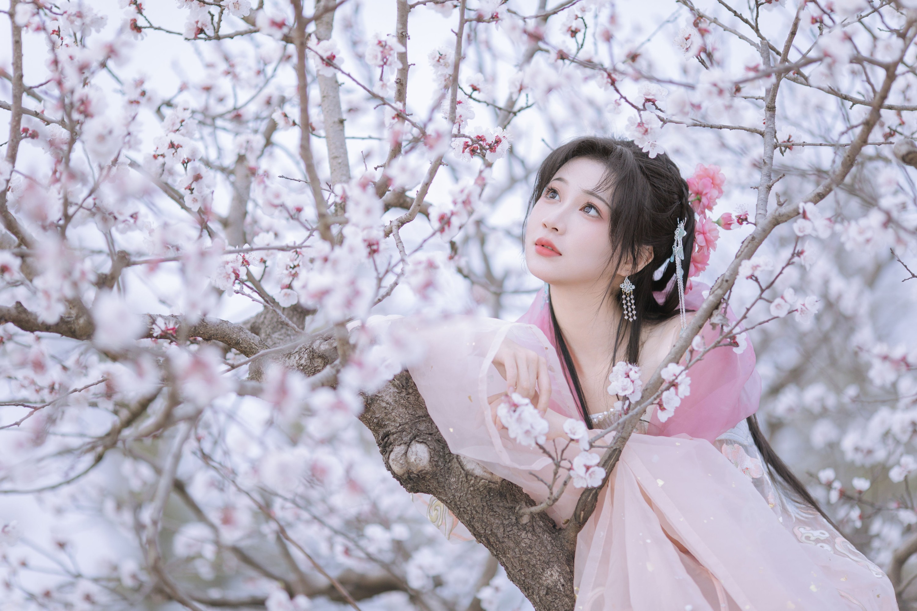 图片[4] - 绮罗生的小苏苏 - 《杏花小仙子》[18P] - 机器猫次元 - 机器猫次元