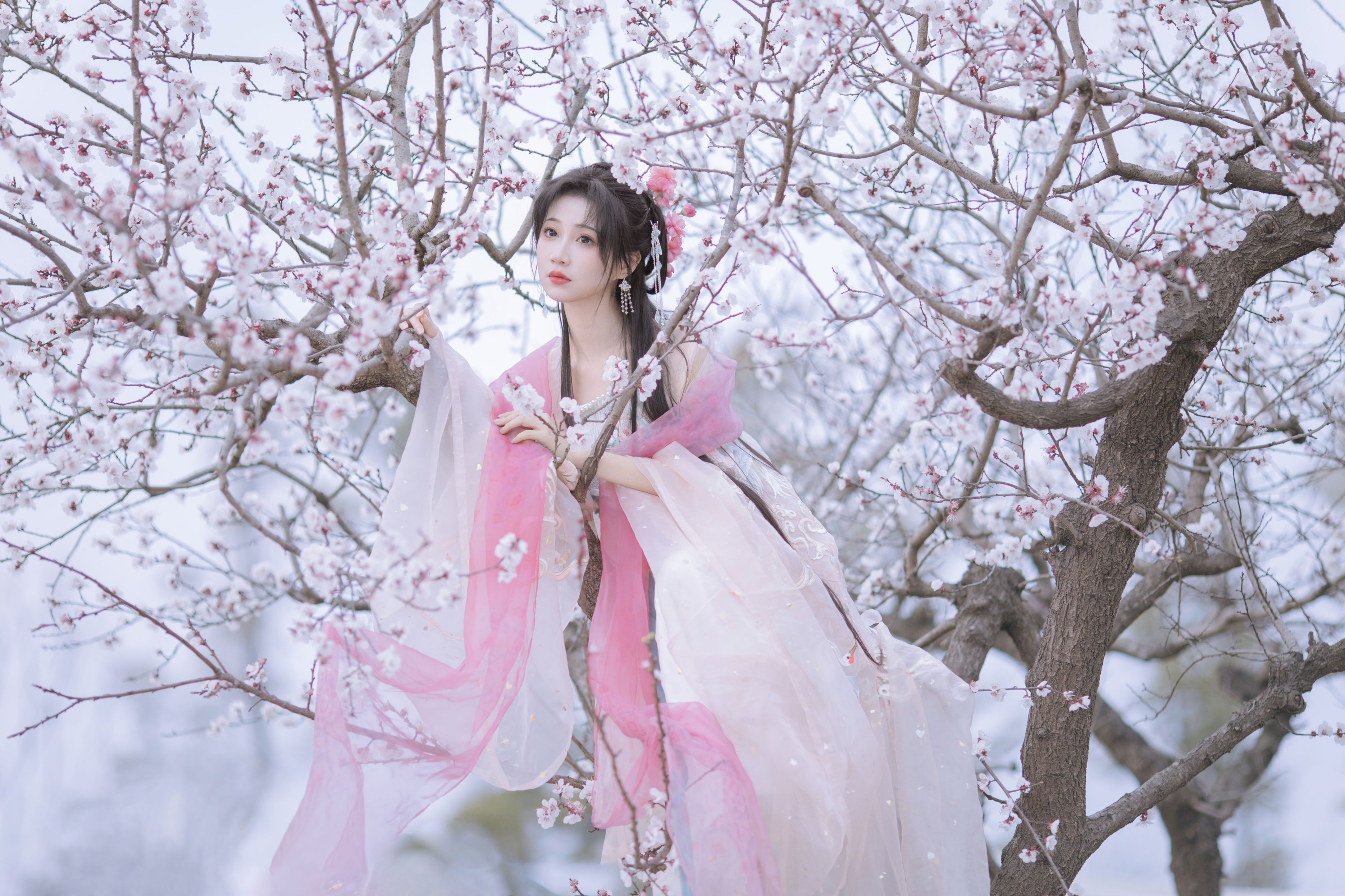 图片[7] - 绮罗生的小苏苏 - 《杏花小仙子》[18P] - 机器猫次元 - 机器猫次元