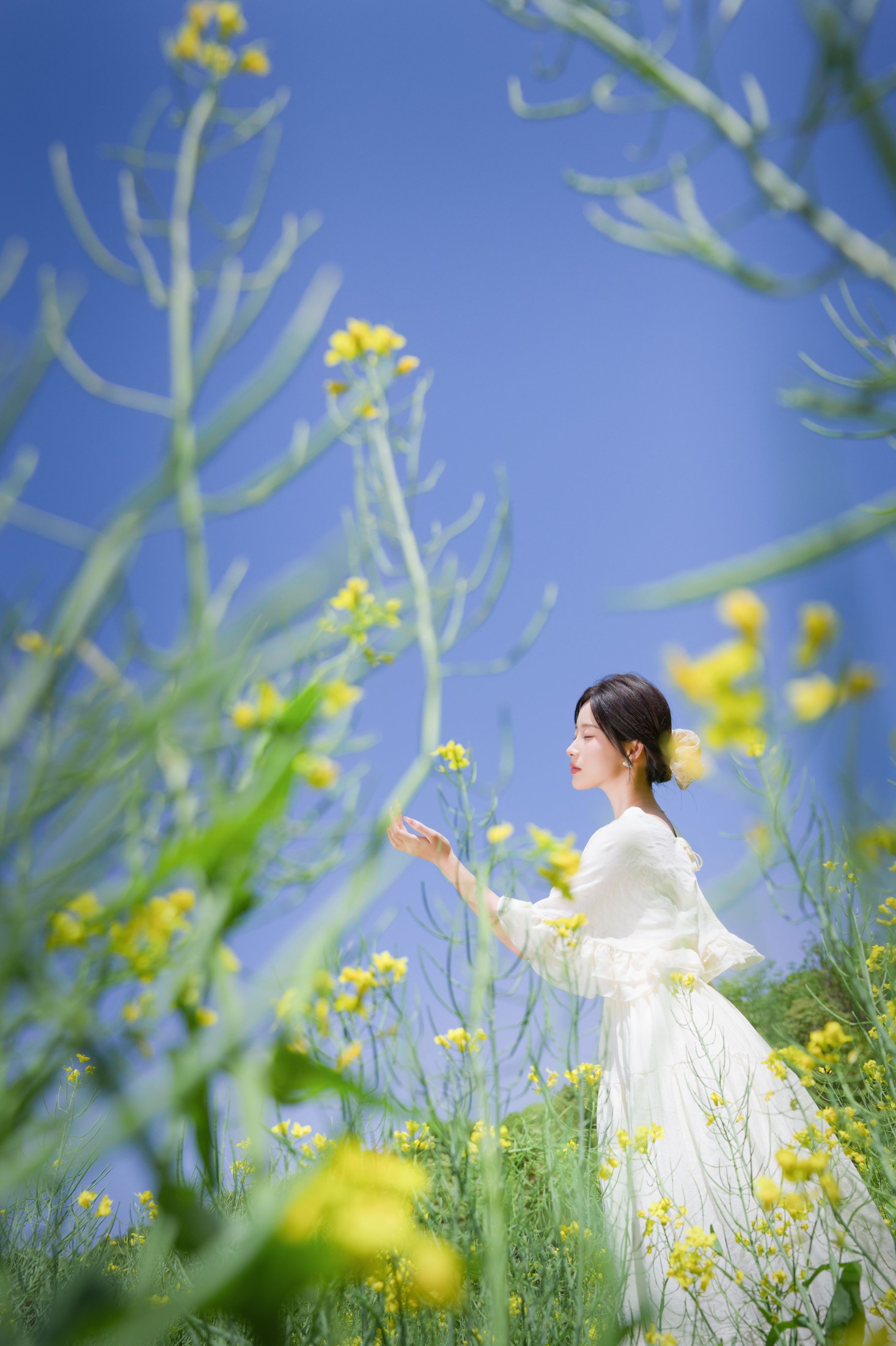 图片[1] - 栀栀雯 - 《梦幻花海》[44P] - 机器猫次元 - 机器猫次元