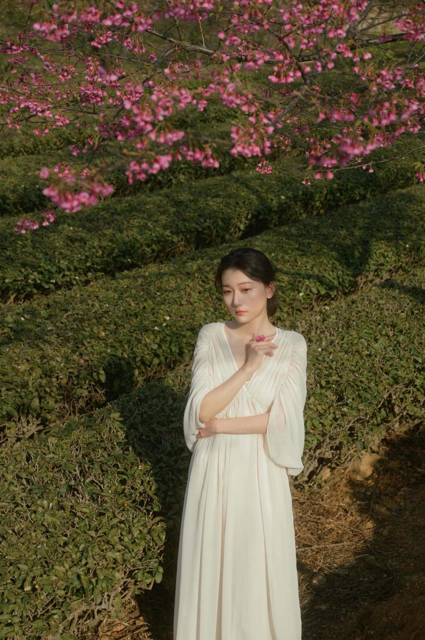 图片[4] - 小月 - 《茶与樱》[27P] - 机器猫次元 - 机器猫次元