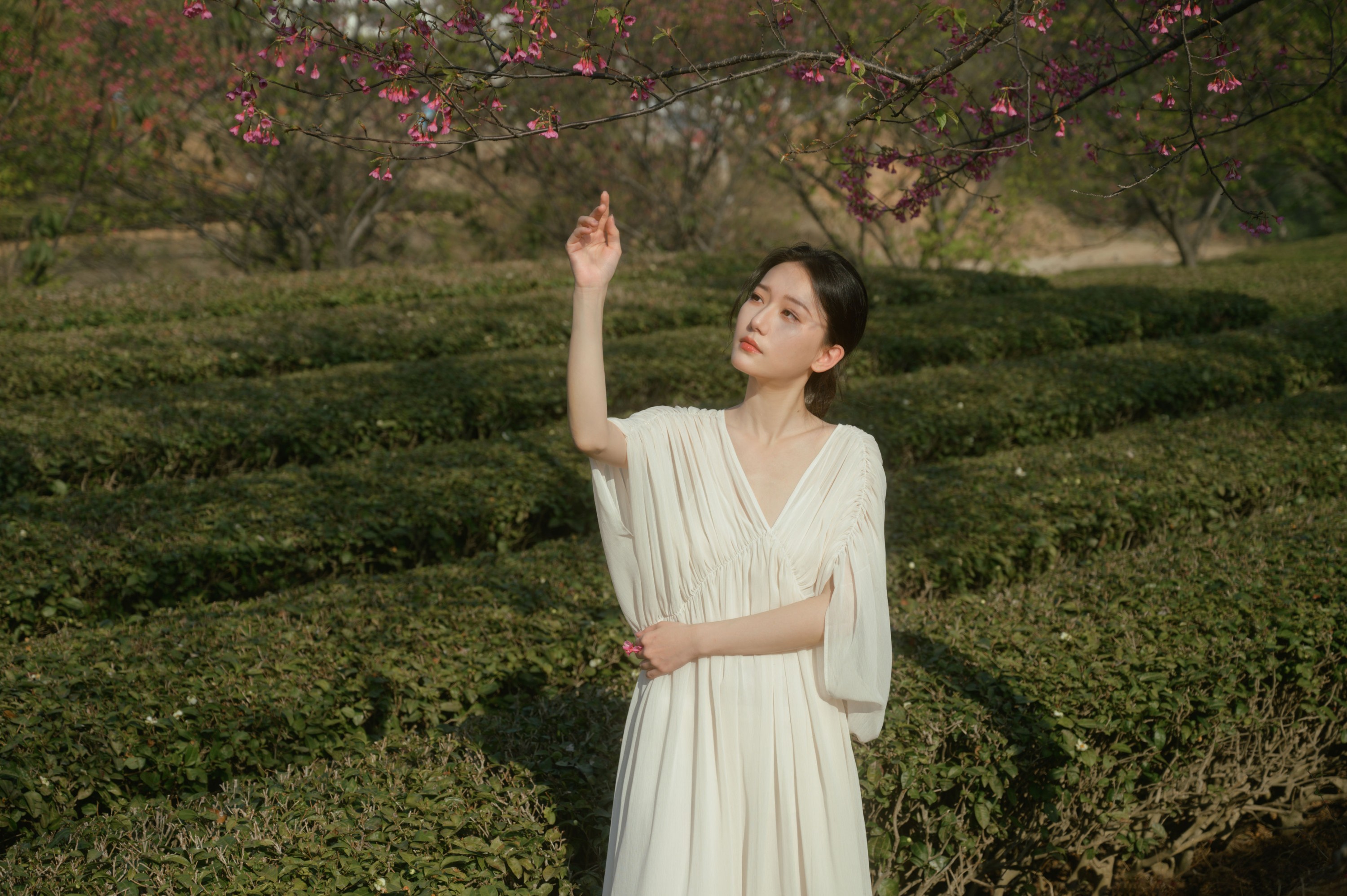 图片[5] - 小月 - 《茶与樱》[27P] - 机器猫次元 - 机器猫次元