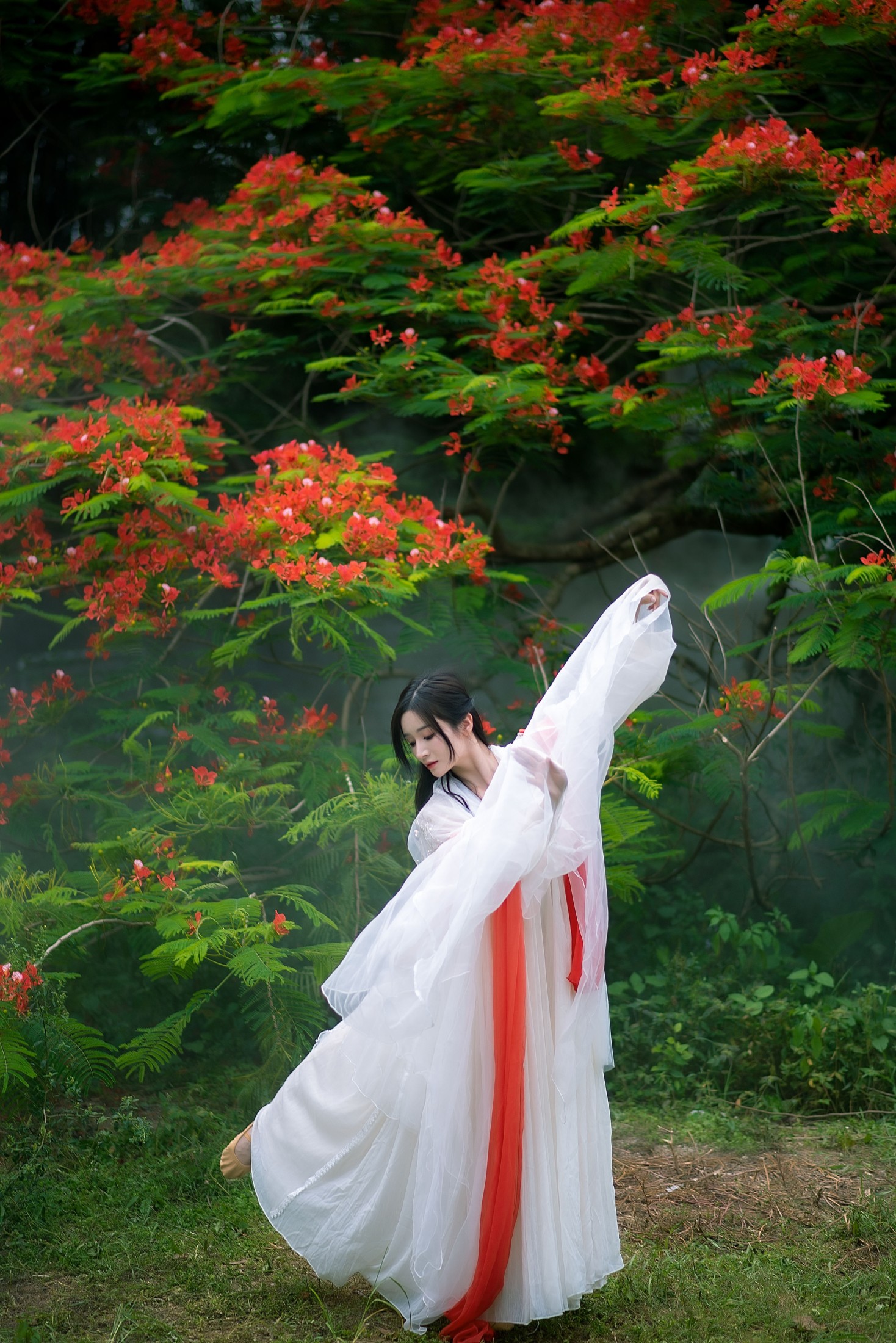 图片[3] - 小冉 - 《凤凰花开》[18P] - 机器猫次元 - 机器猫次元