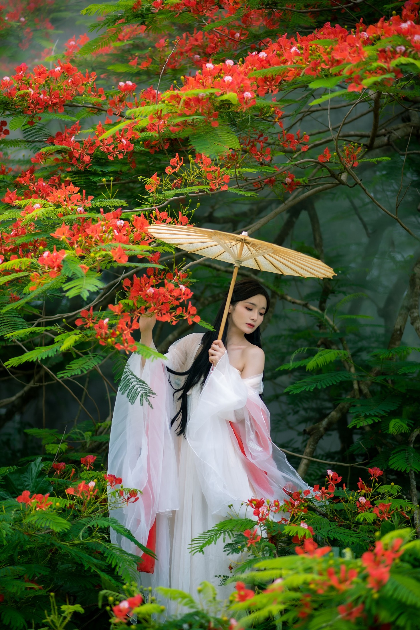 图片[7] - 小冉 - 《凤凰花开》[18P] - 机器猫次元 - 机器猫次元