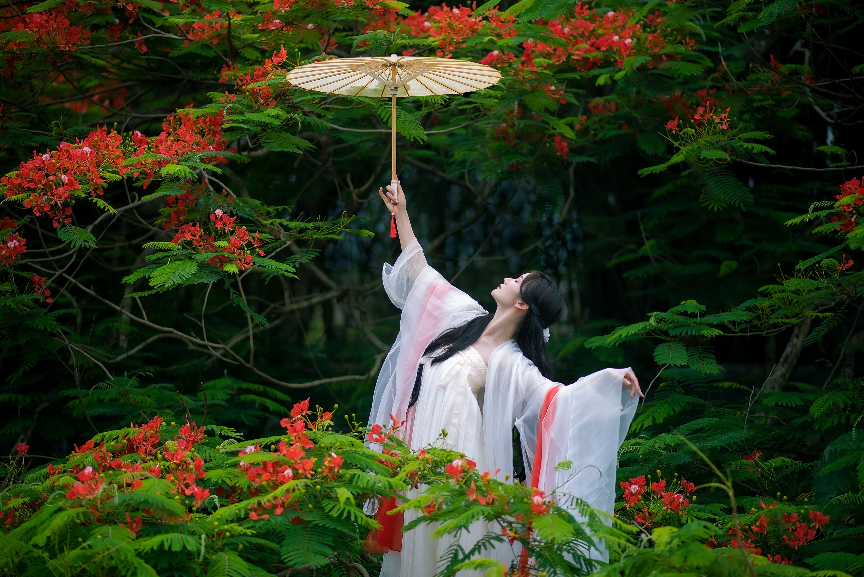 图片[4] - 小冉 - 《凤凰花开》[18P] - 机器猫次元 - 机器猫次元