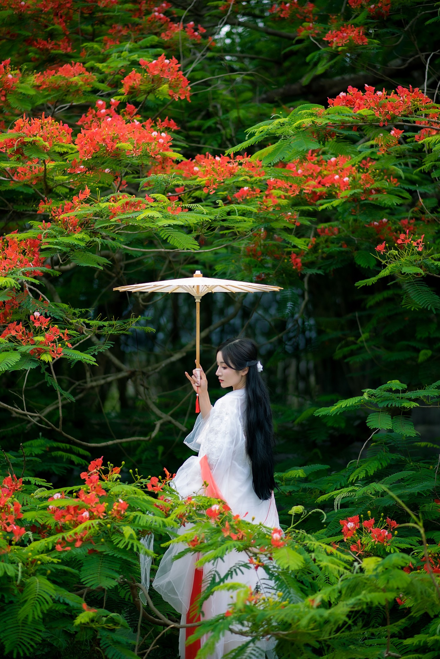图片[5] - 小冉 - 《凤凰花开》[18P] - 机器猫次元 - 机器猫次元