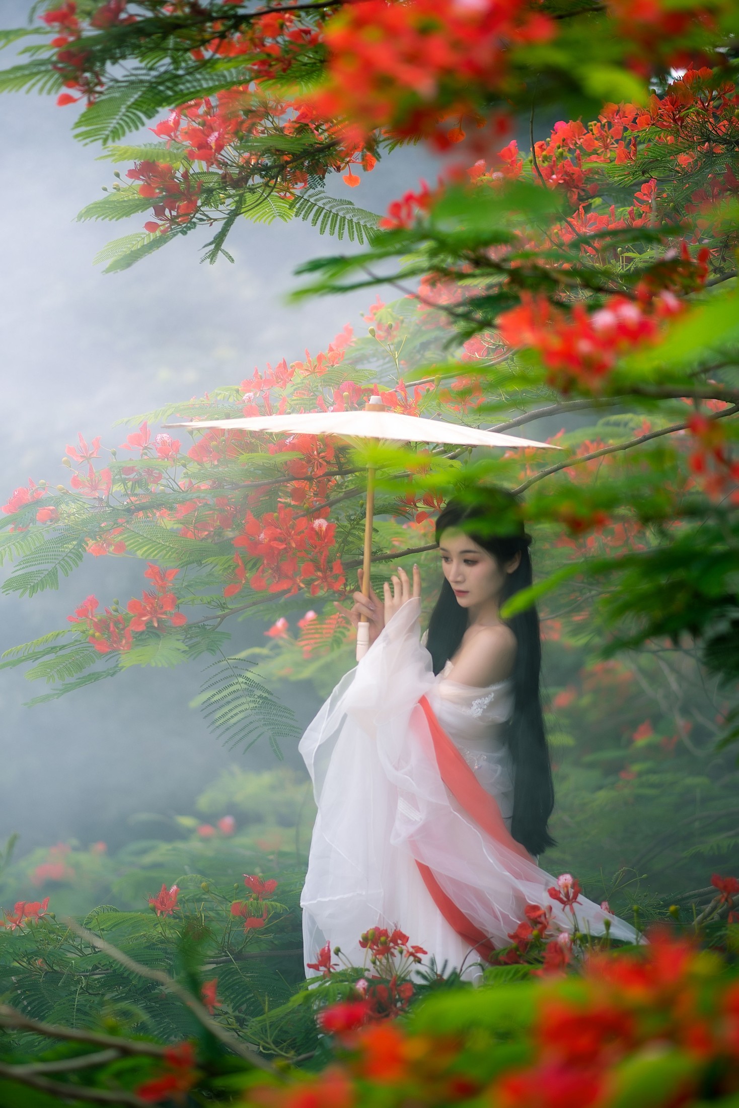 图片[8] - 小冉 - 《凤凰花开》[18P] - 机器猫次元 - 机器猫次元