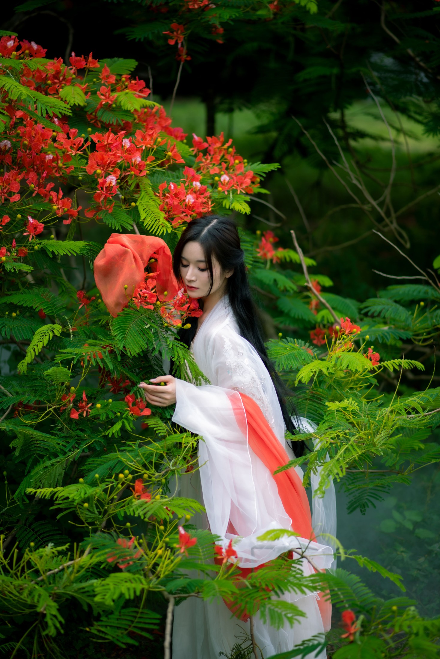 图片[1] - 小冉 - 《凤凰花开》[18P] - 机器猫次元 - 机器猫次元