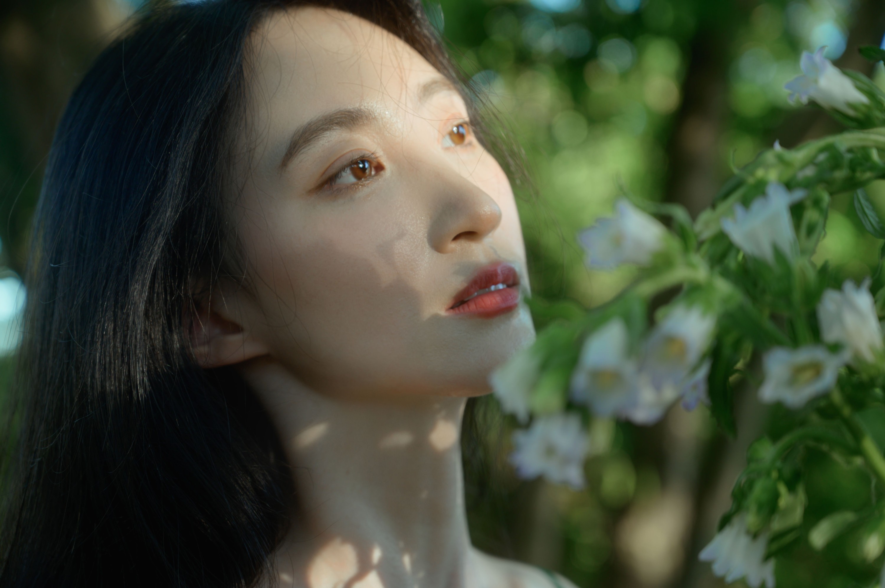 图片[7] - 阿吉缘子 - 《绿野仙踪》[16P] - 机器猫次元 - 机器猫次元
