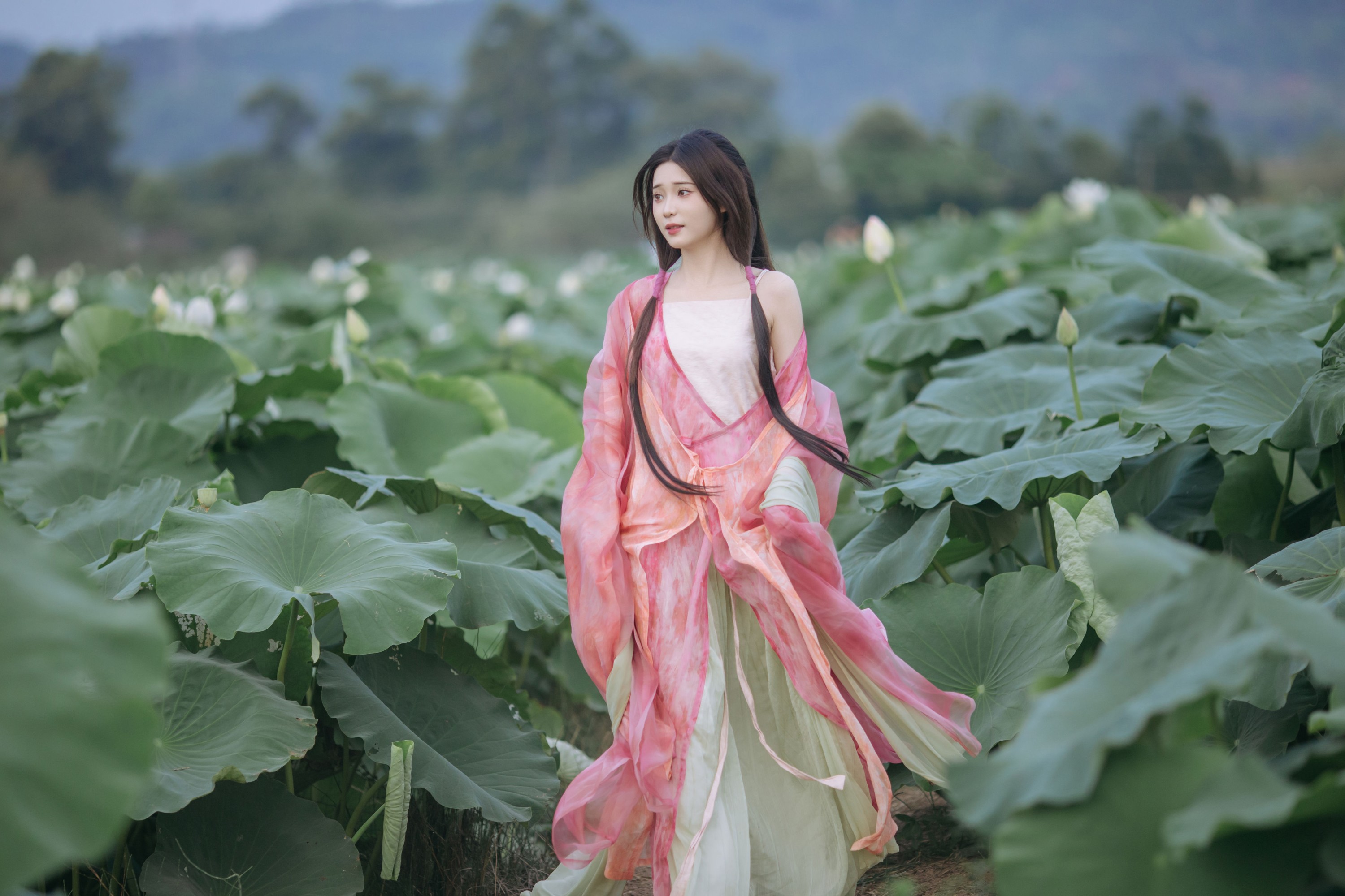 图片[3] - 褚鸢鸢 - 《晚风吹倒荷花叶》[17P] - 机器猫次元 - 机器猫次元