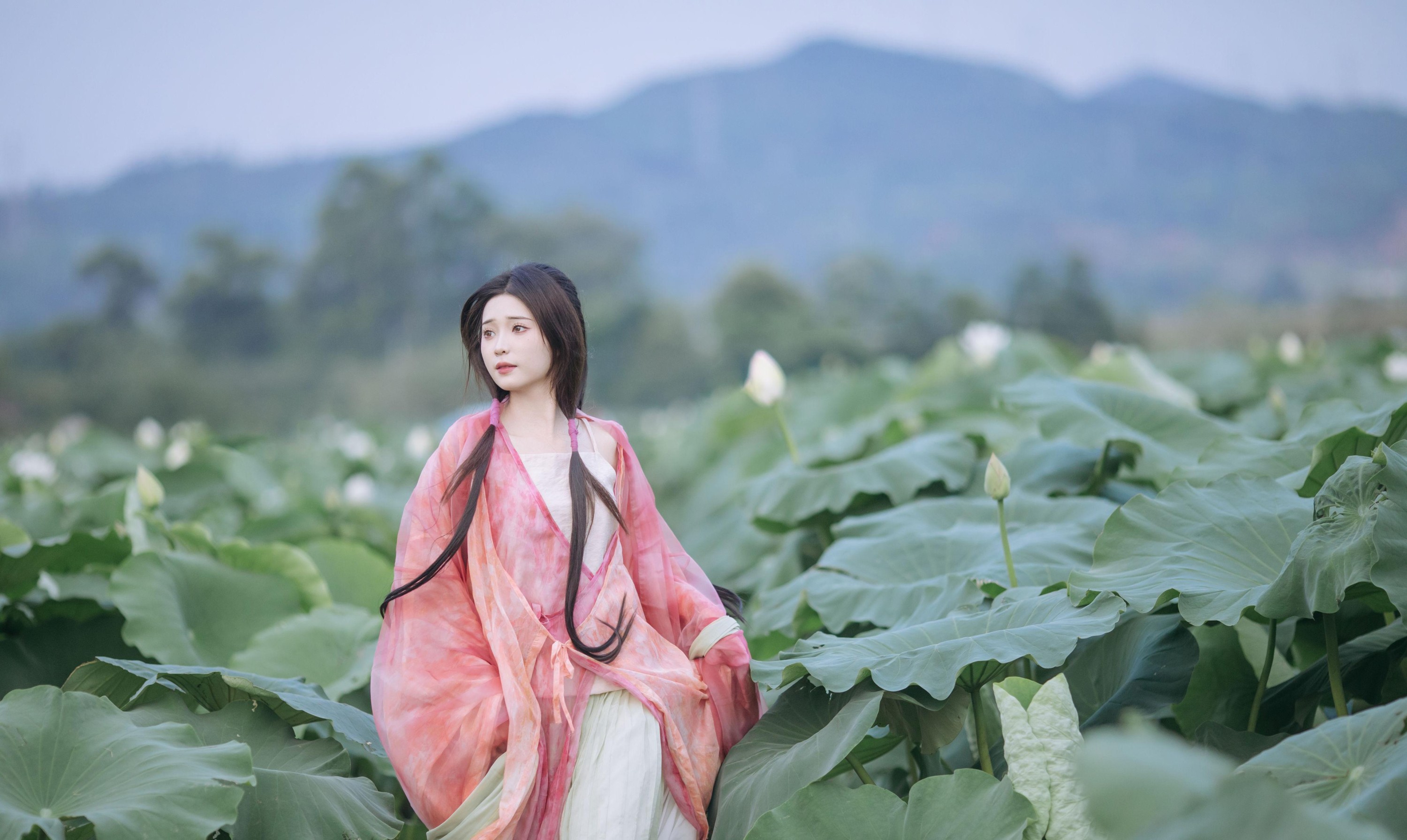 图片[2] - 褚鸢鸢 - 《晚风吹倒荷花叶》[17P] - 机器猫次元 - 机器猫次元
