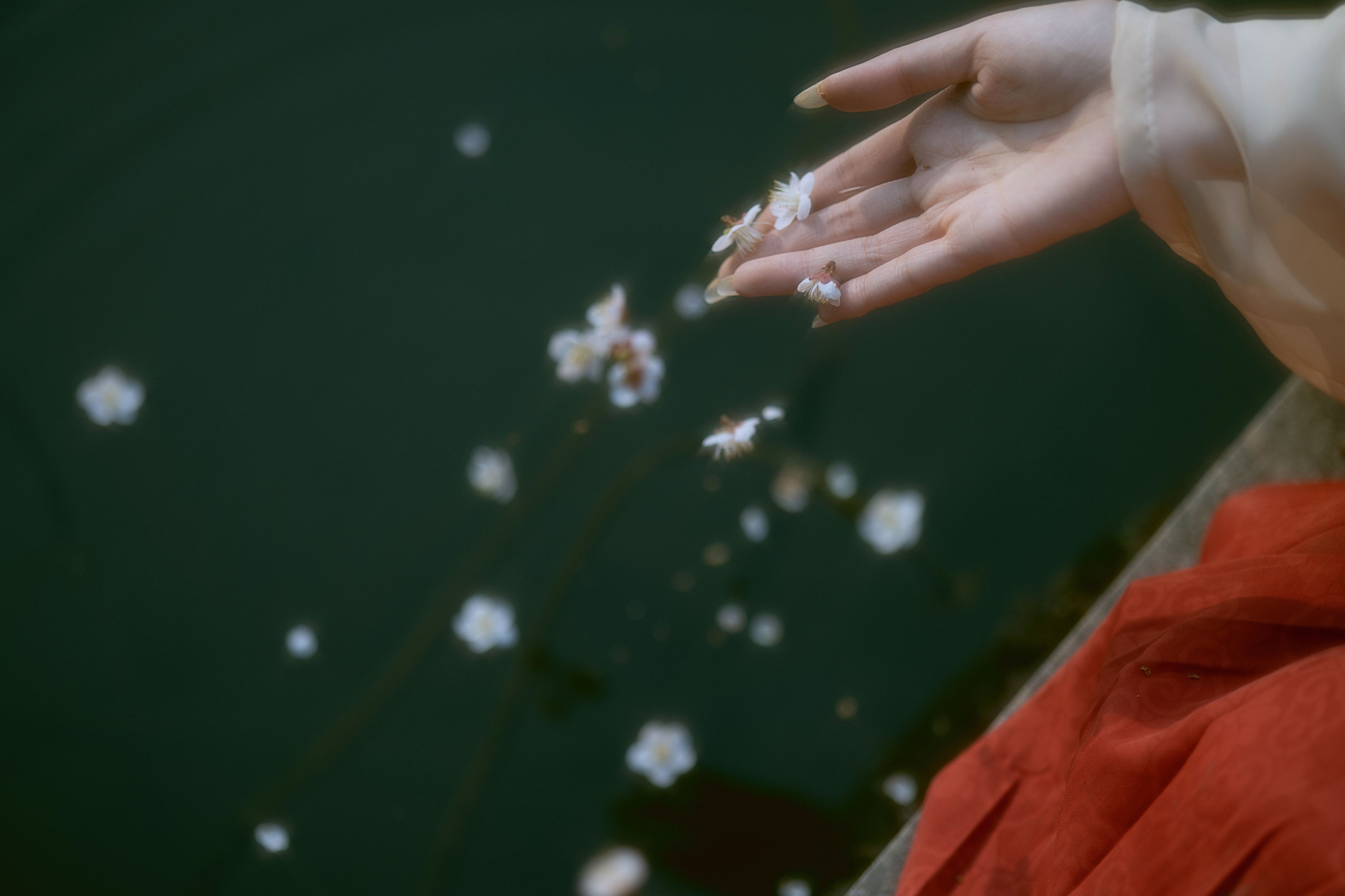 图片[3] - 卿辛 八重湖泽 木土土土桂 - 《梦》[16P] - 机器猫次元 - 机器猫次元